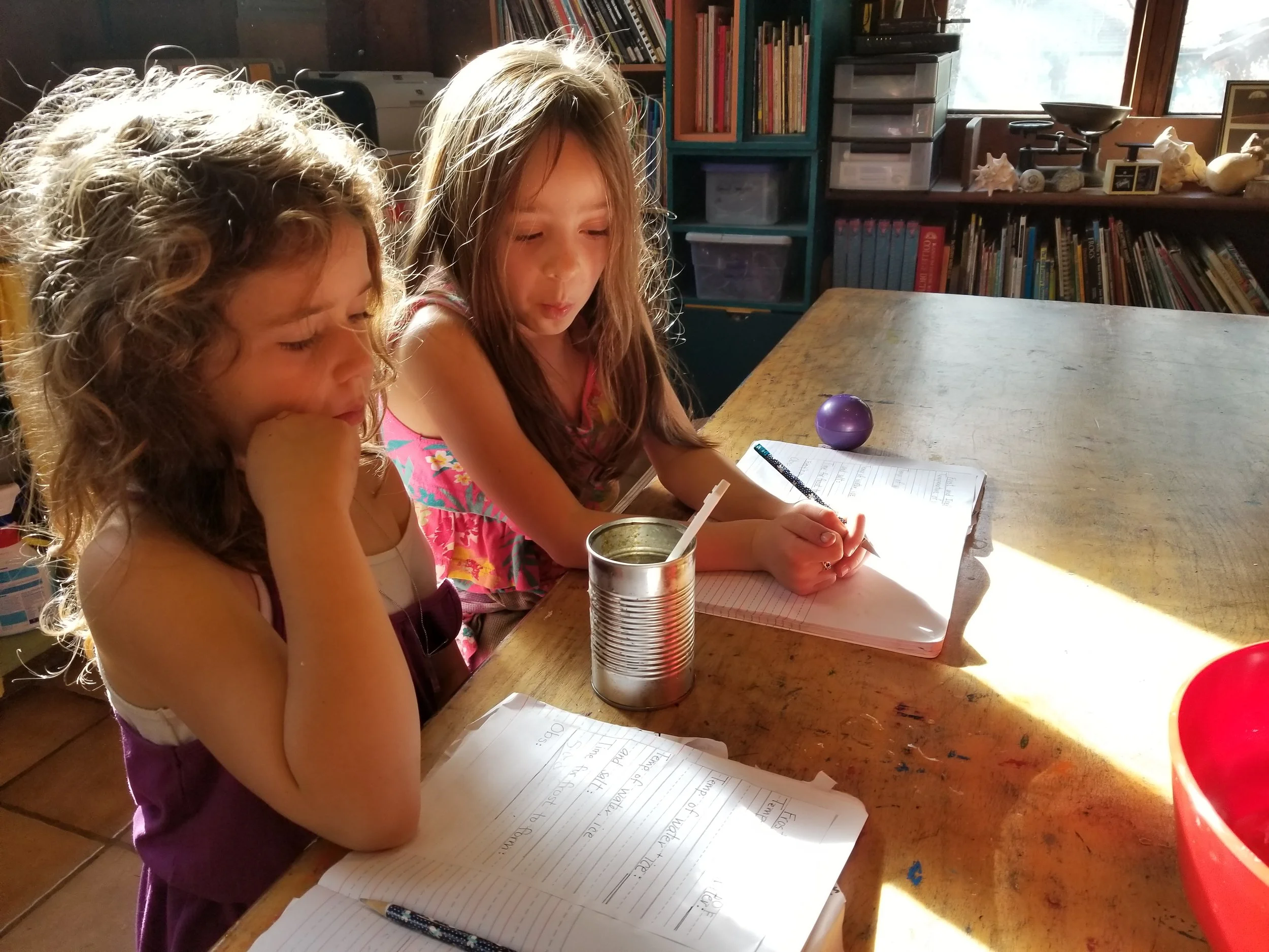 Watching the temperature drop with ice water and salt.