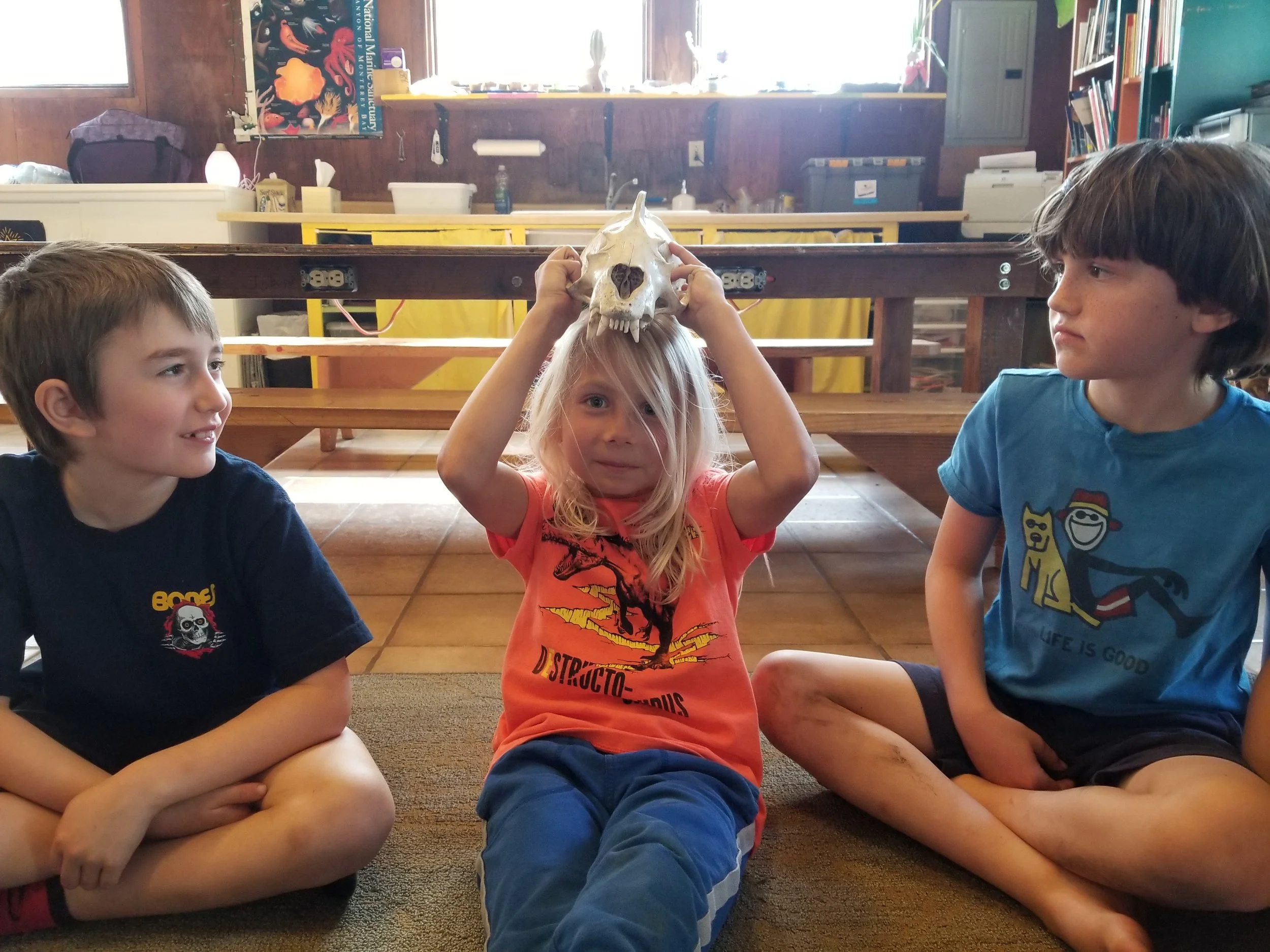 Marine mammal pelts and skulls. This one is a sea lion (and Leif). 