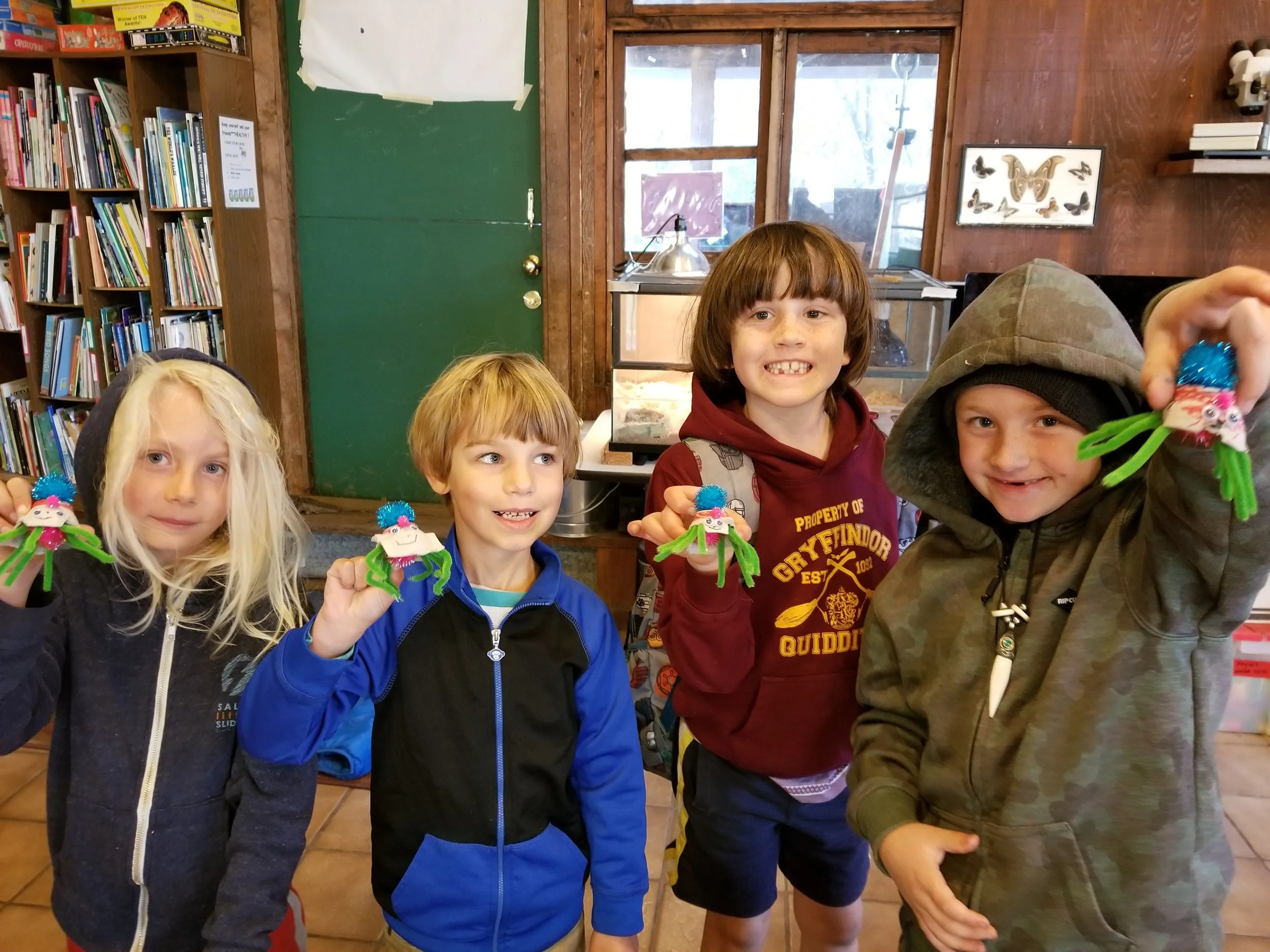 Showing off our decorator crabs.