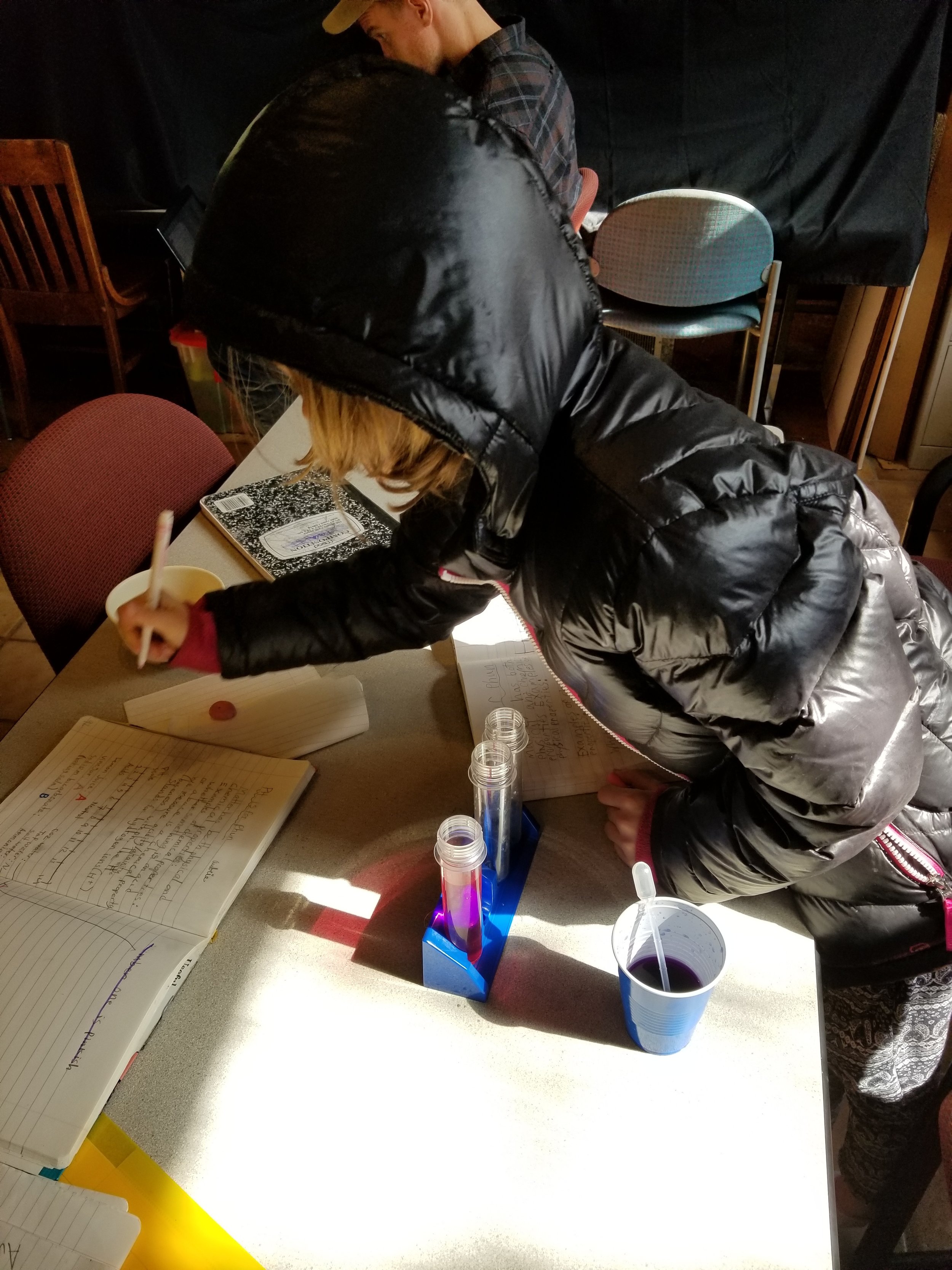 Using red cabbage indicator to estimate pH.