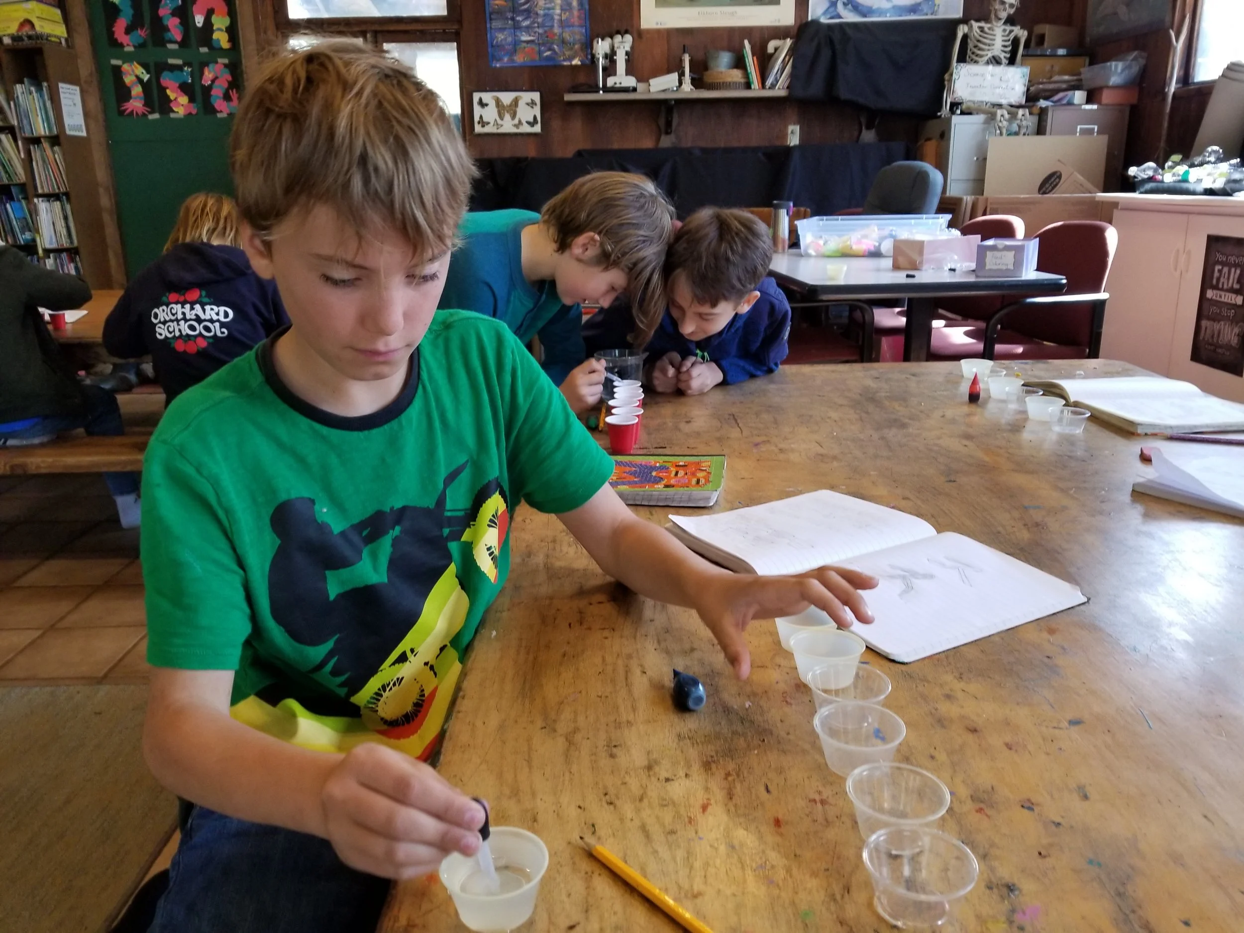 Dilutions of food coloring.