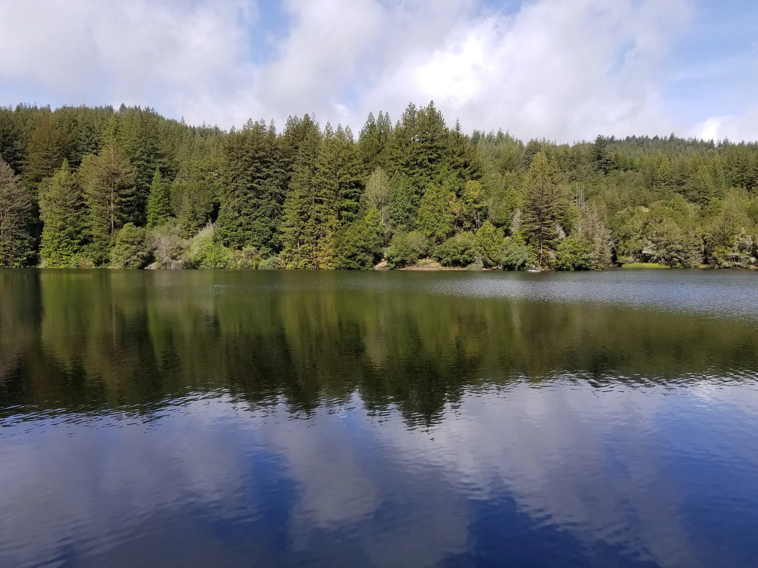 A view of the lake. 
