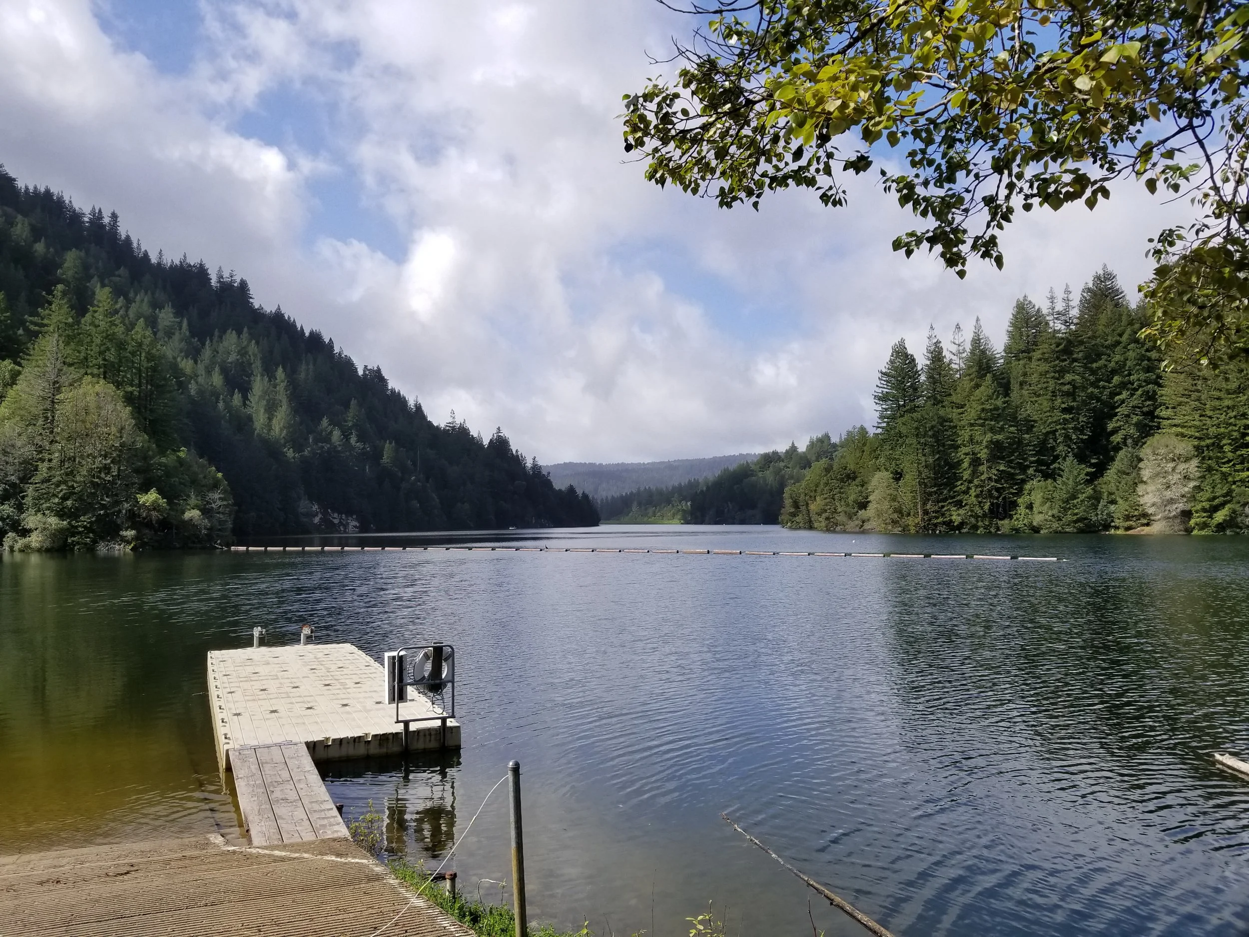 Home sweet home for the trout.&nbsp;