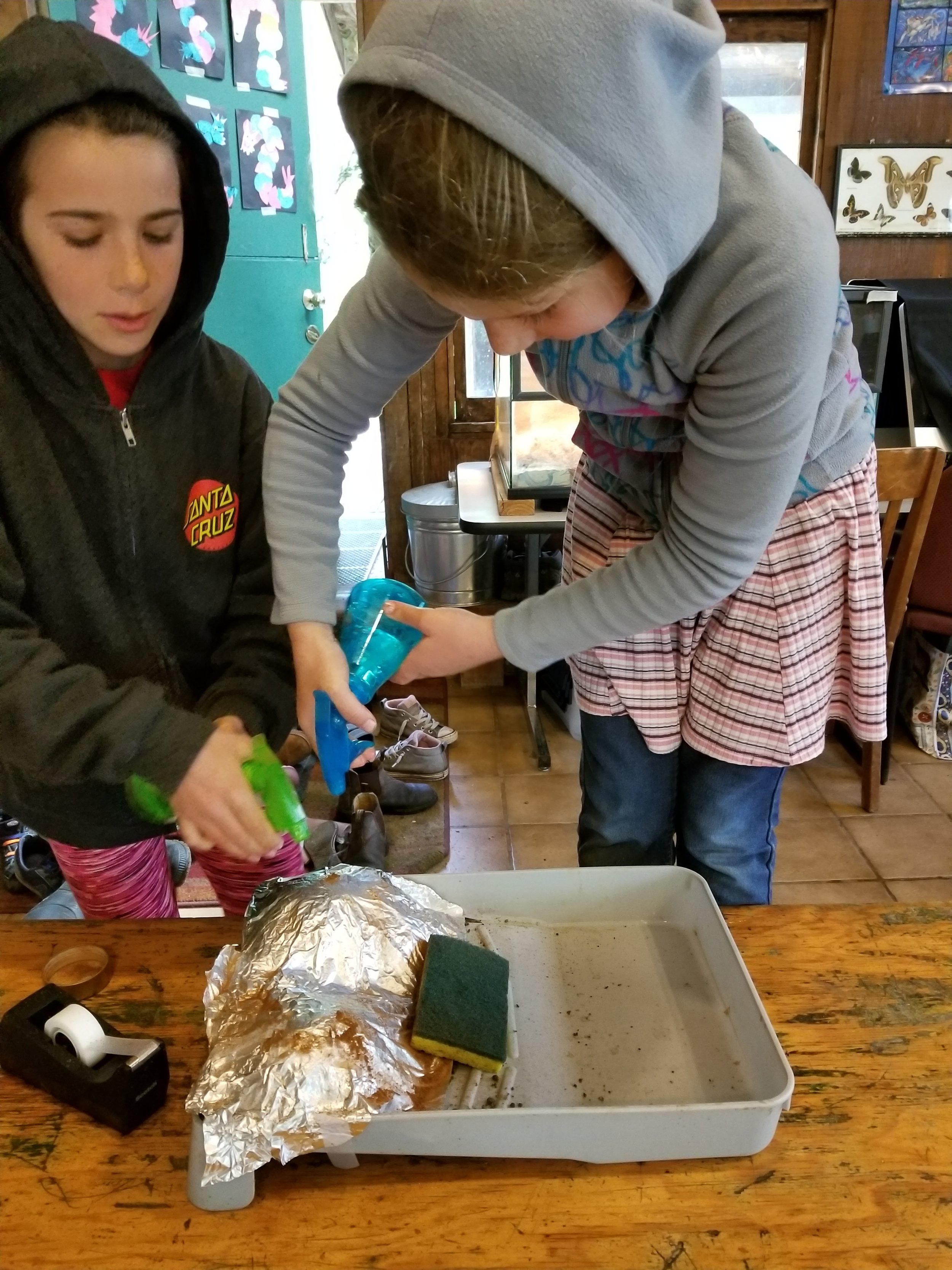 Adding water to the wetland model.