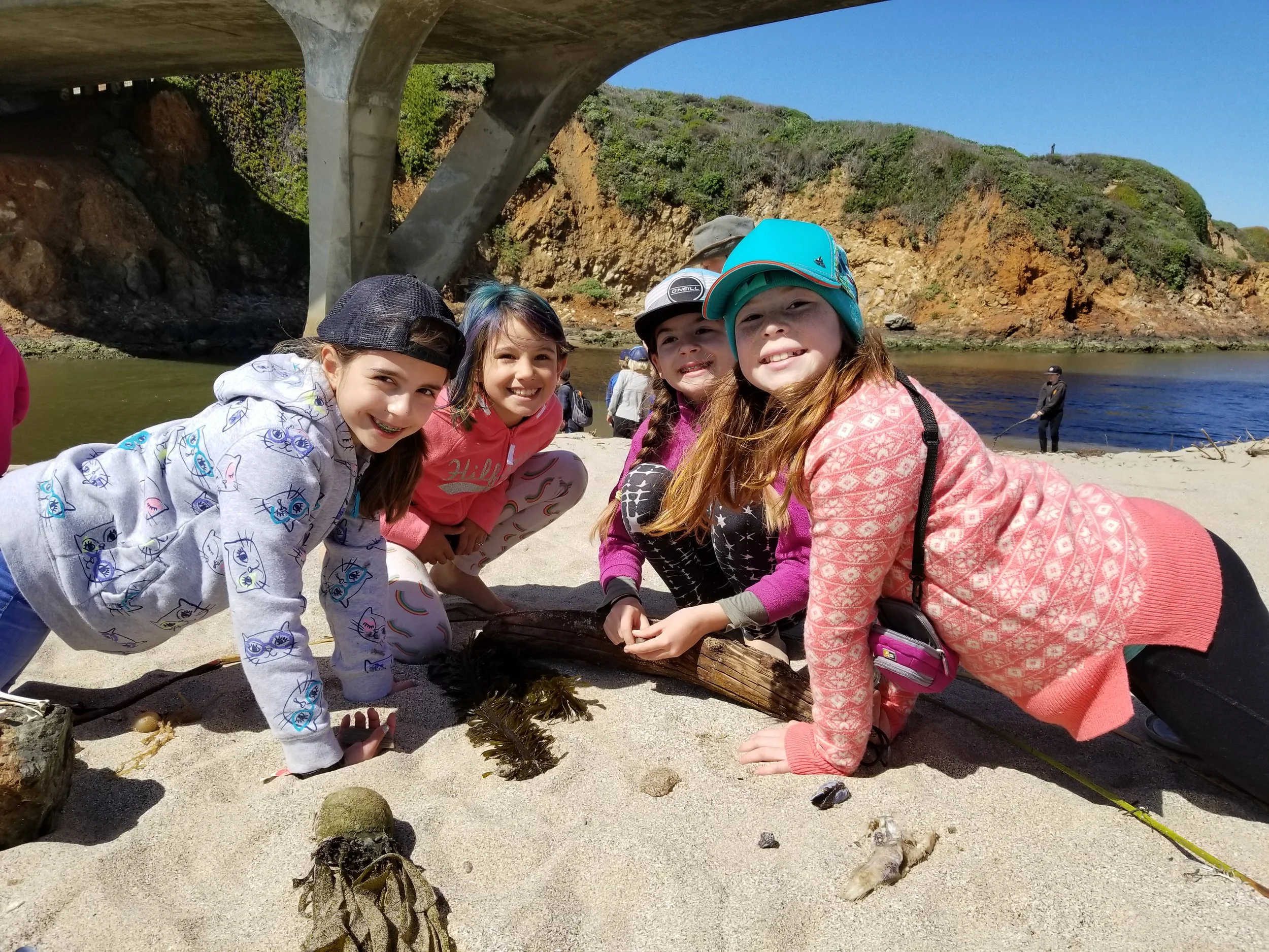 We spent an hour exploring the beach and investigating the incoming tide.  