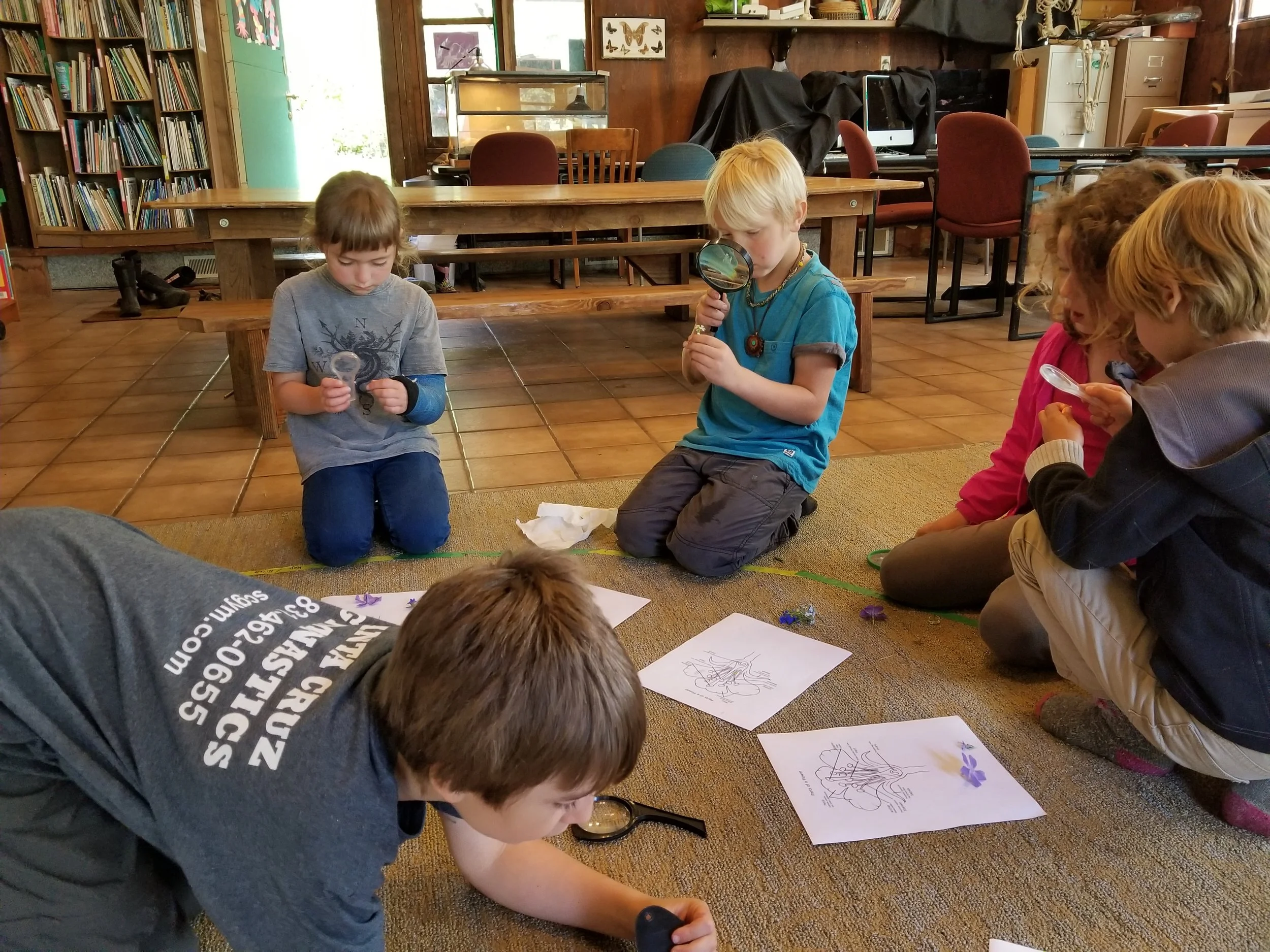 Looking closely at flowers and dissecting them.  