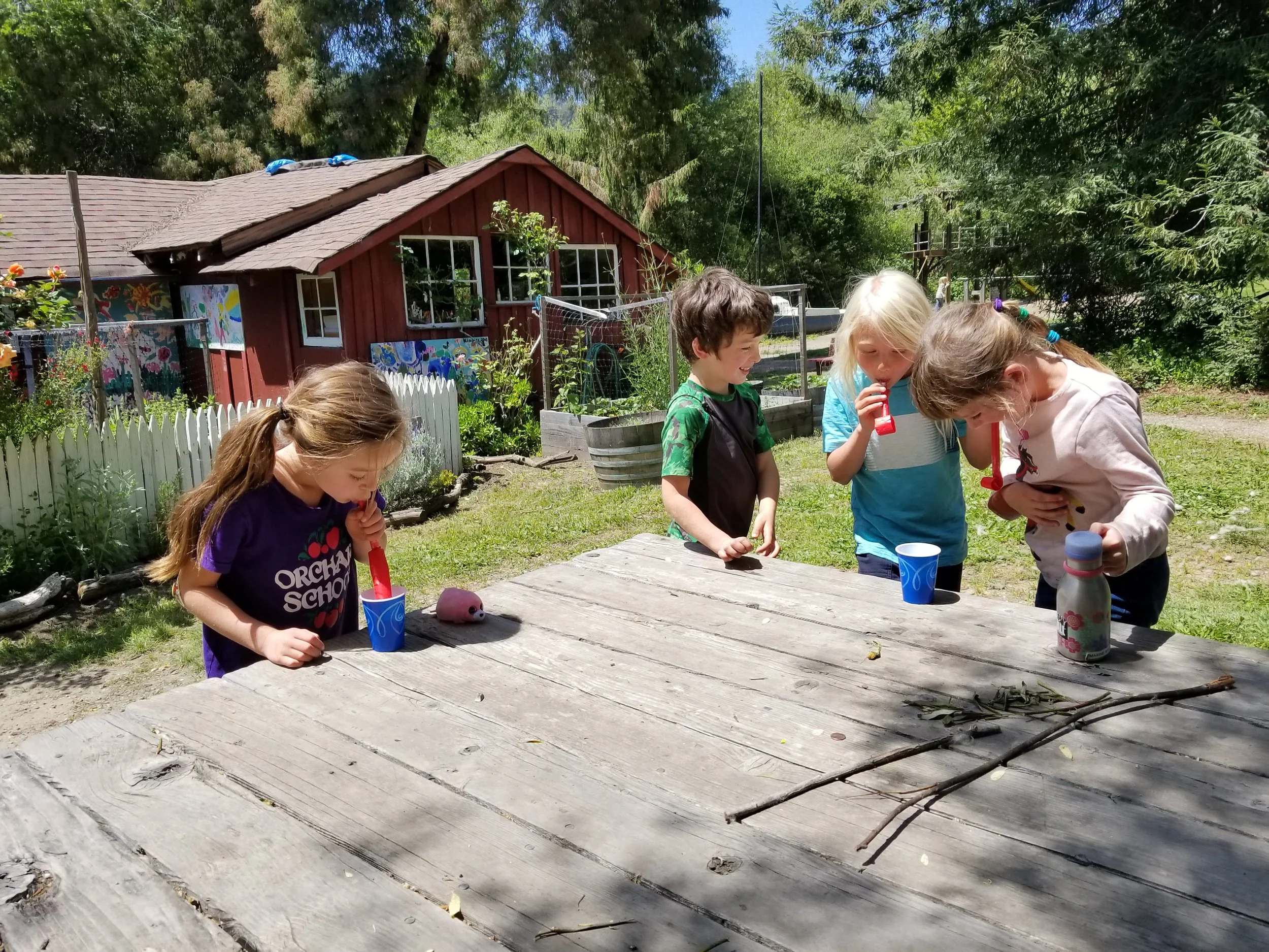 We even had Finn come over to watch our butterflies.