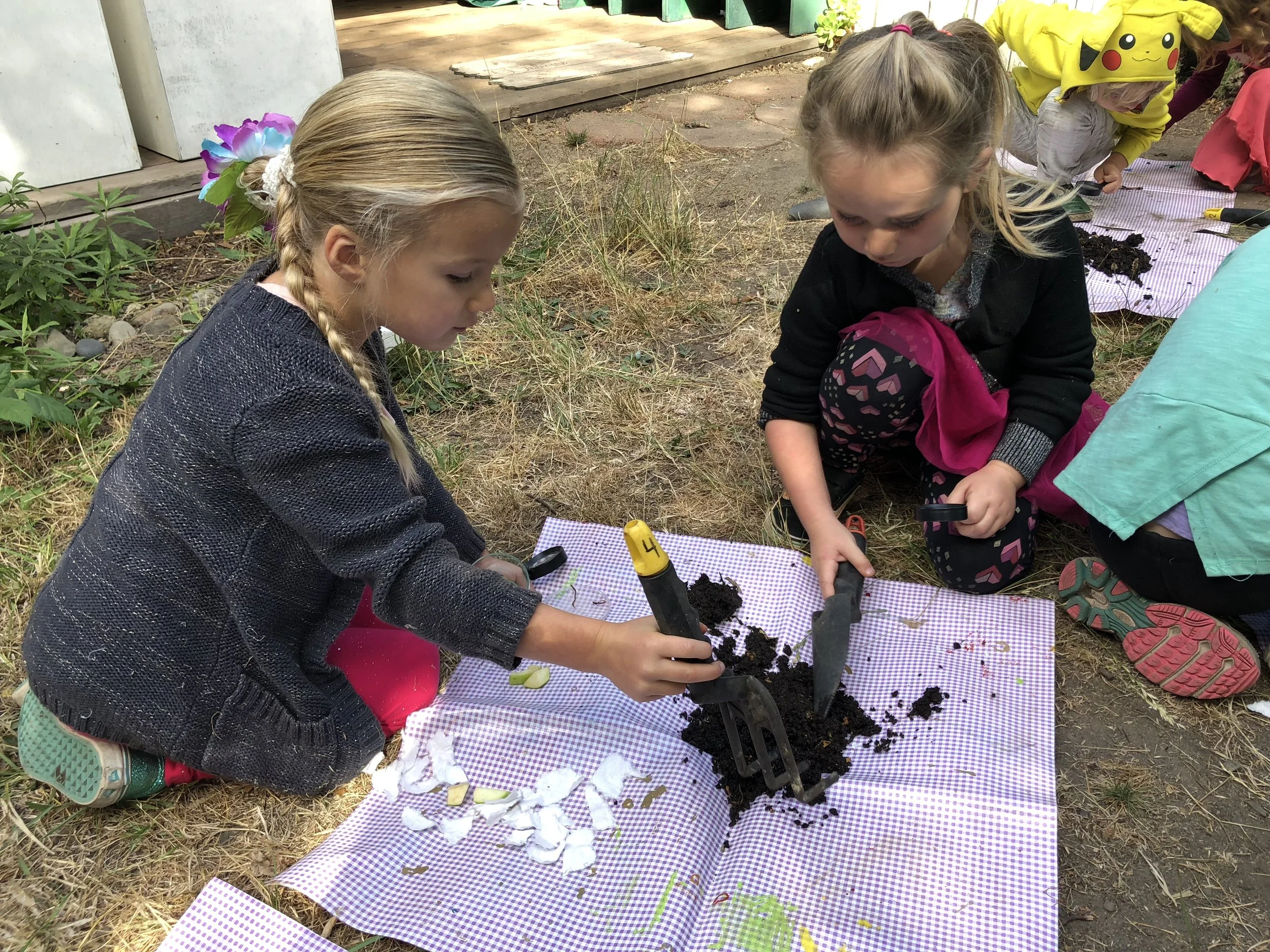 Sifting through the worm castings in teams of two. Shredded paper towels and apple chunks were added to the worm home during the revamp.