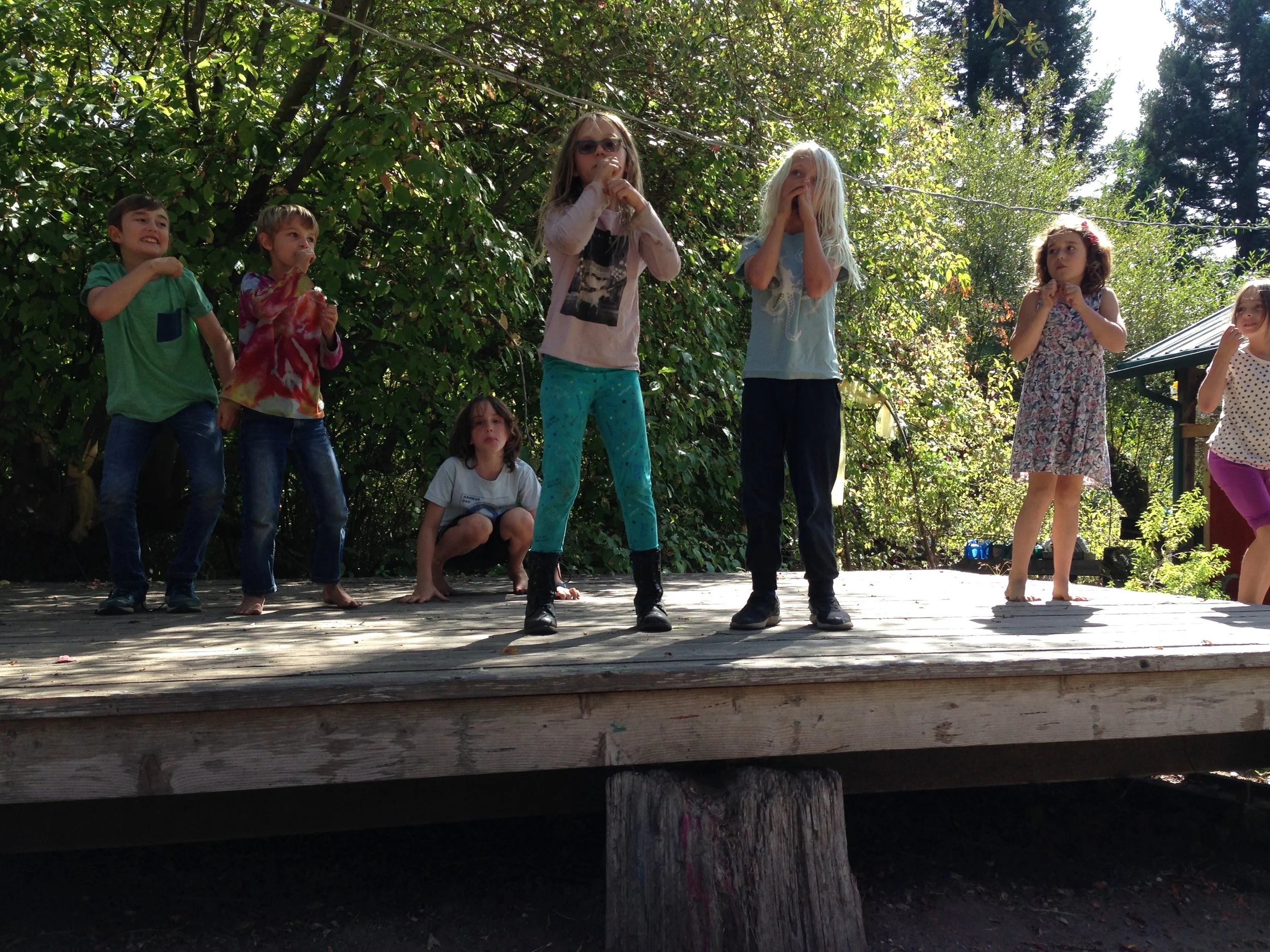 “A stem is an elevator growing up from the ground. The water goes up and the sugar back down.” -Banana Slug String Band