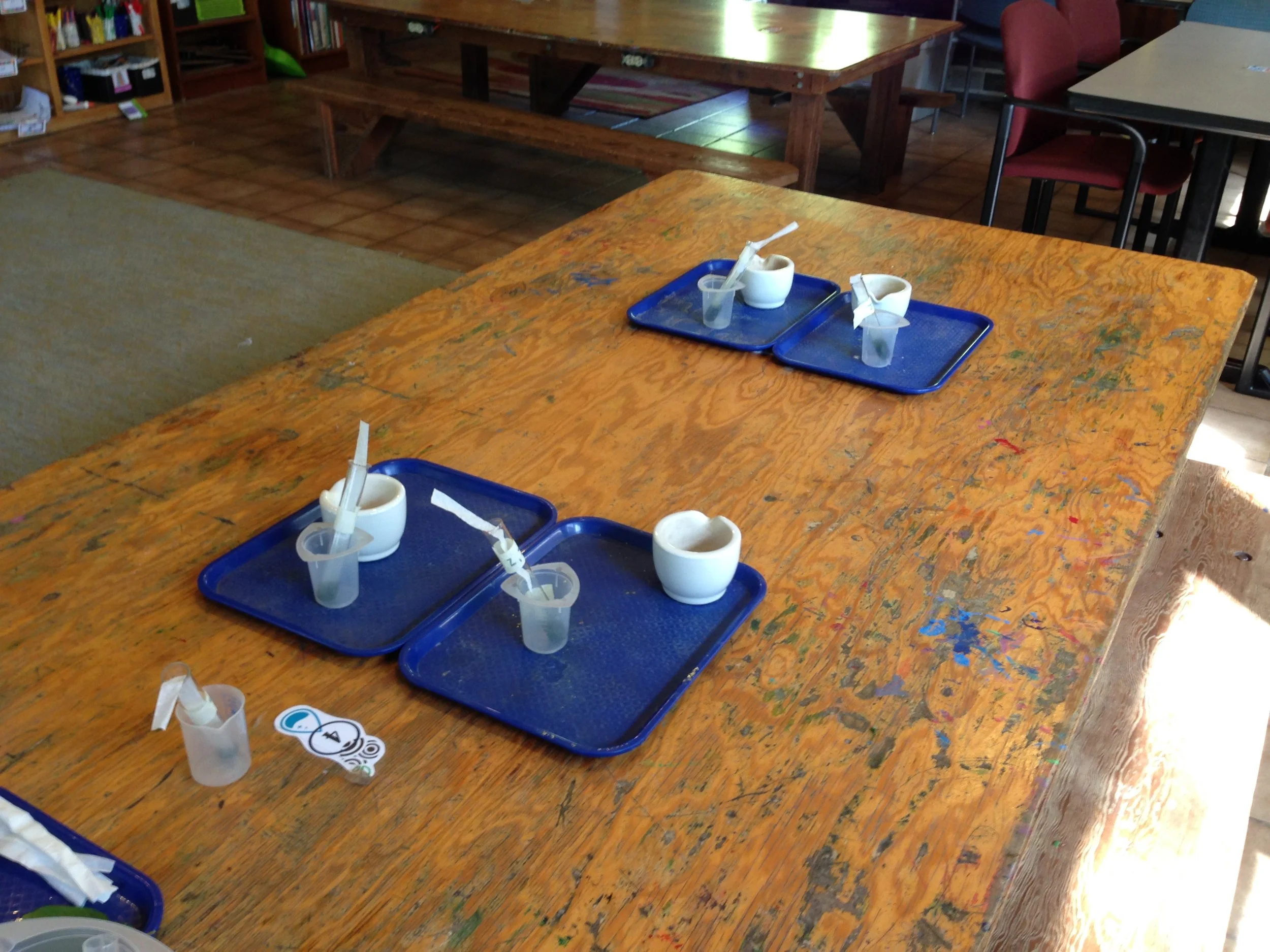 Chromatography lab with crushed up leaves.
