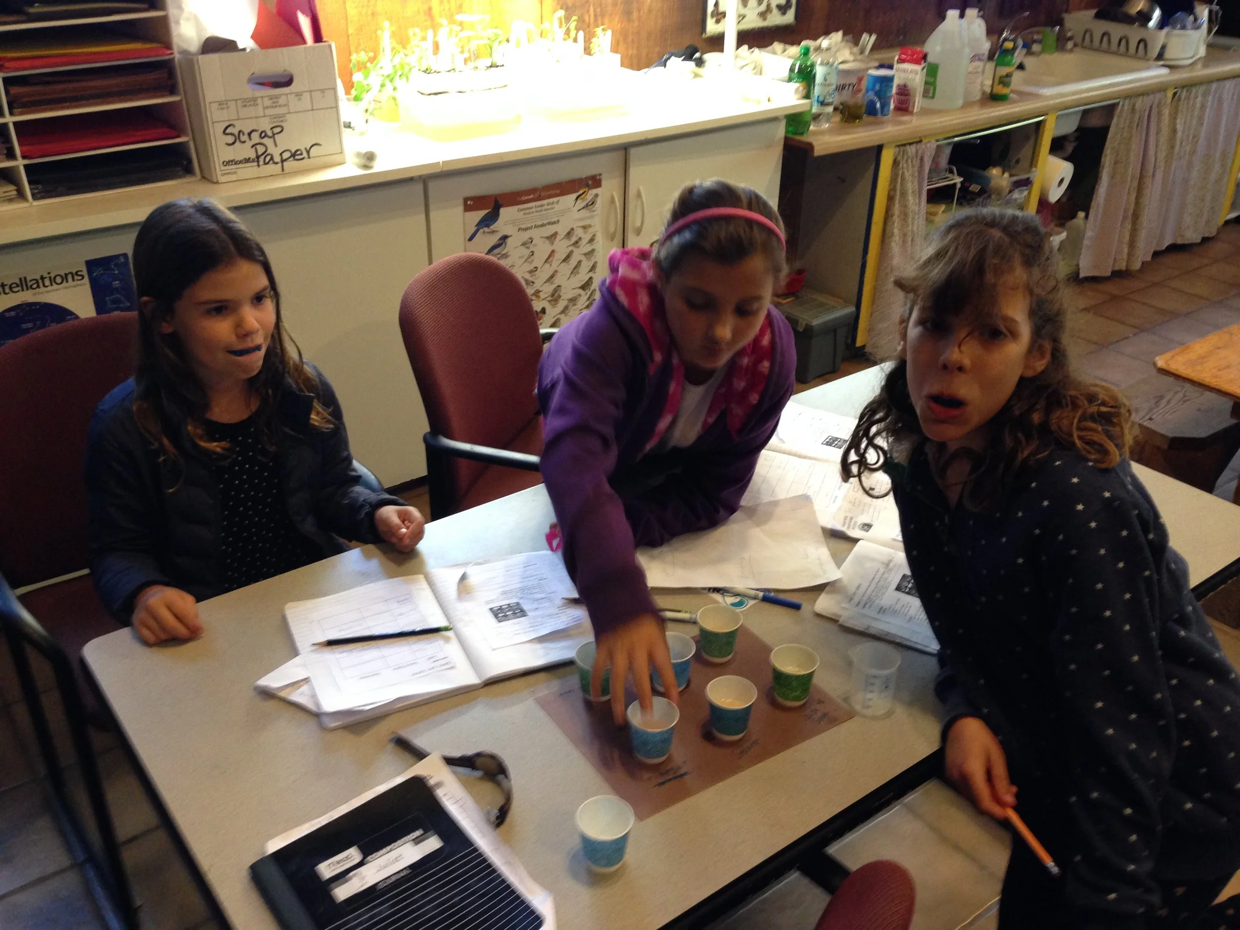 Testing candy corn is even more exciting with colorful fangs!