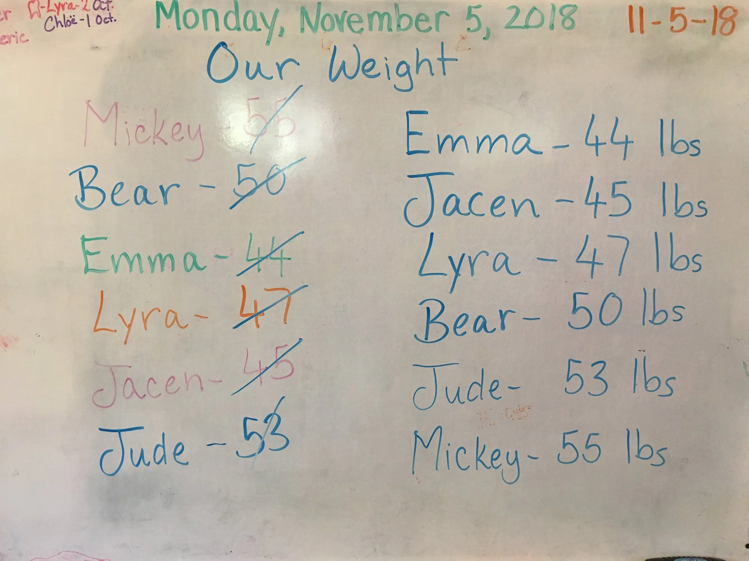 I almost forgot this wonderful emergent curriculum, when the students began weighing and measuring themselves and then we ordered the information from lightest to heaviest.
