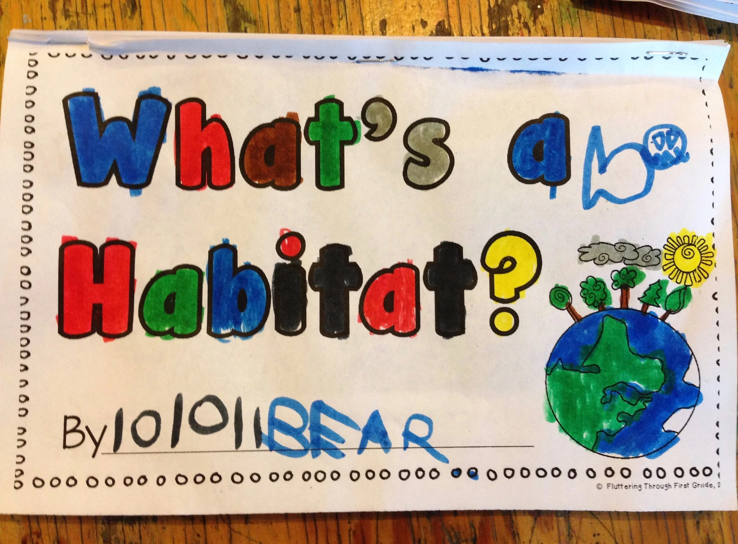 Bear chose a shark as his animal to research.