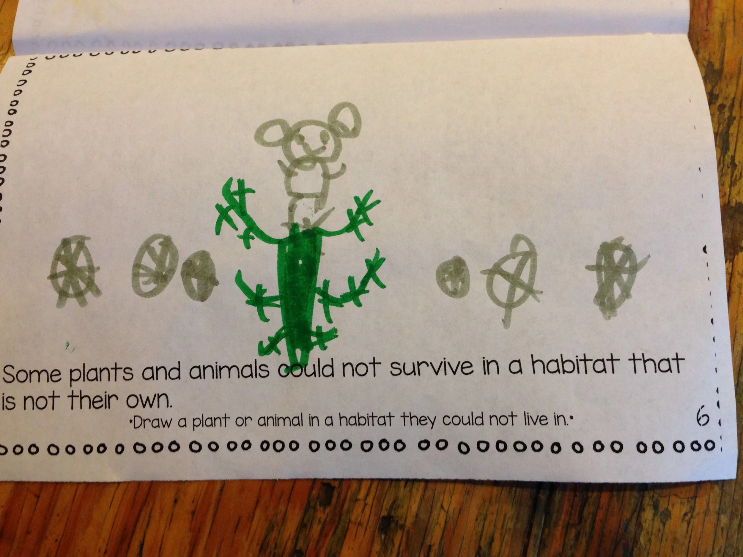 Emma’s depiction of how a koala could not survive in the desert among cactus and tumble weeds.