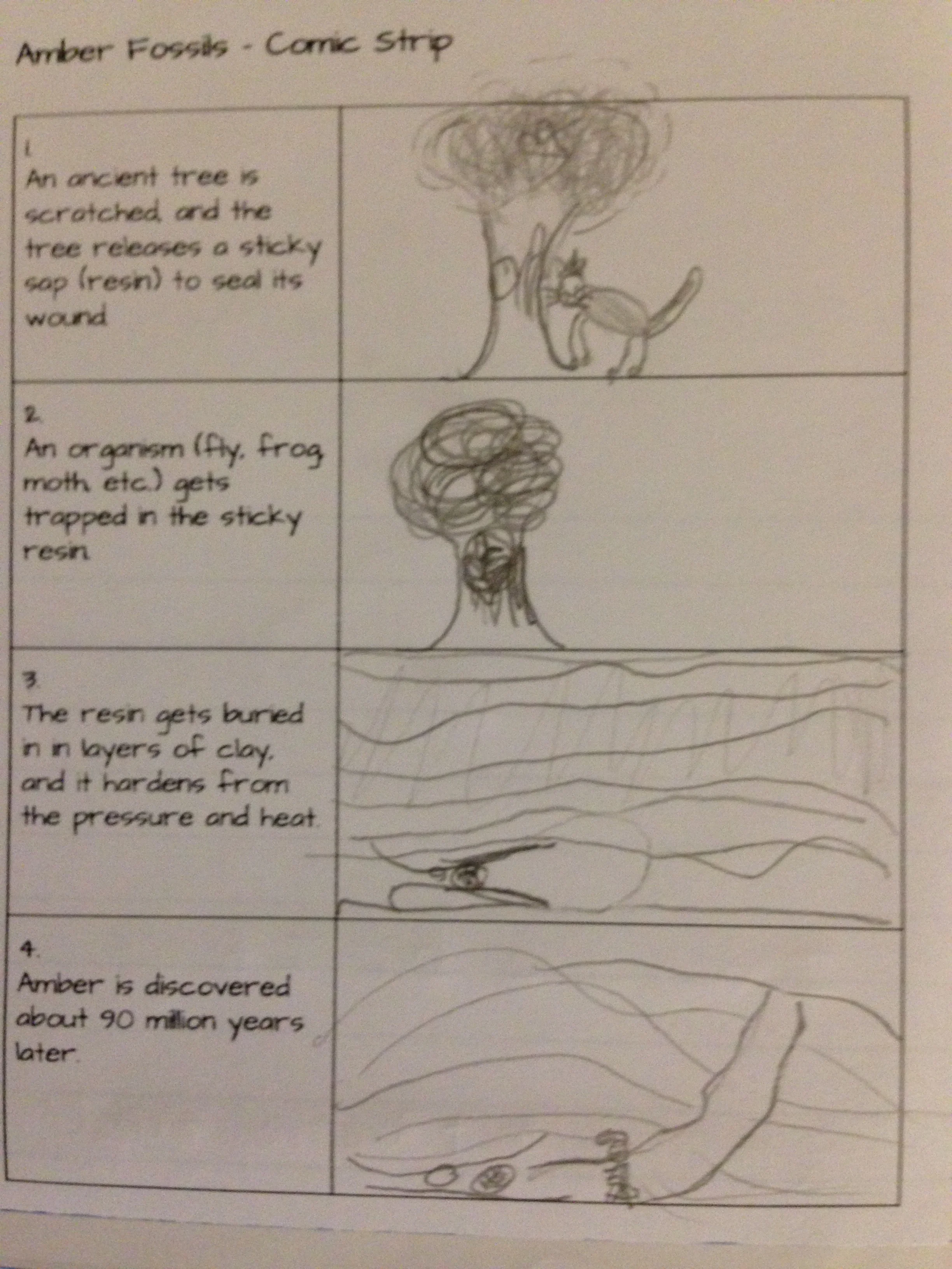 Comic illustrating the formation and discovery of amber fossils.