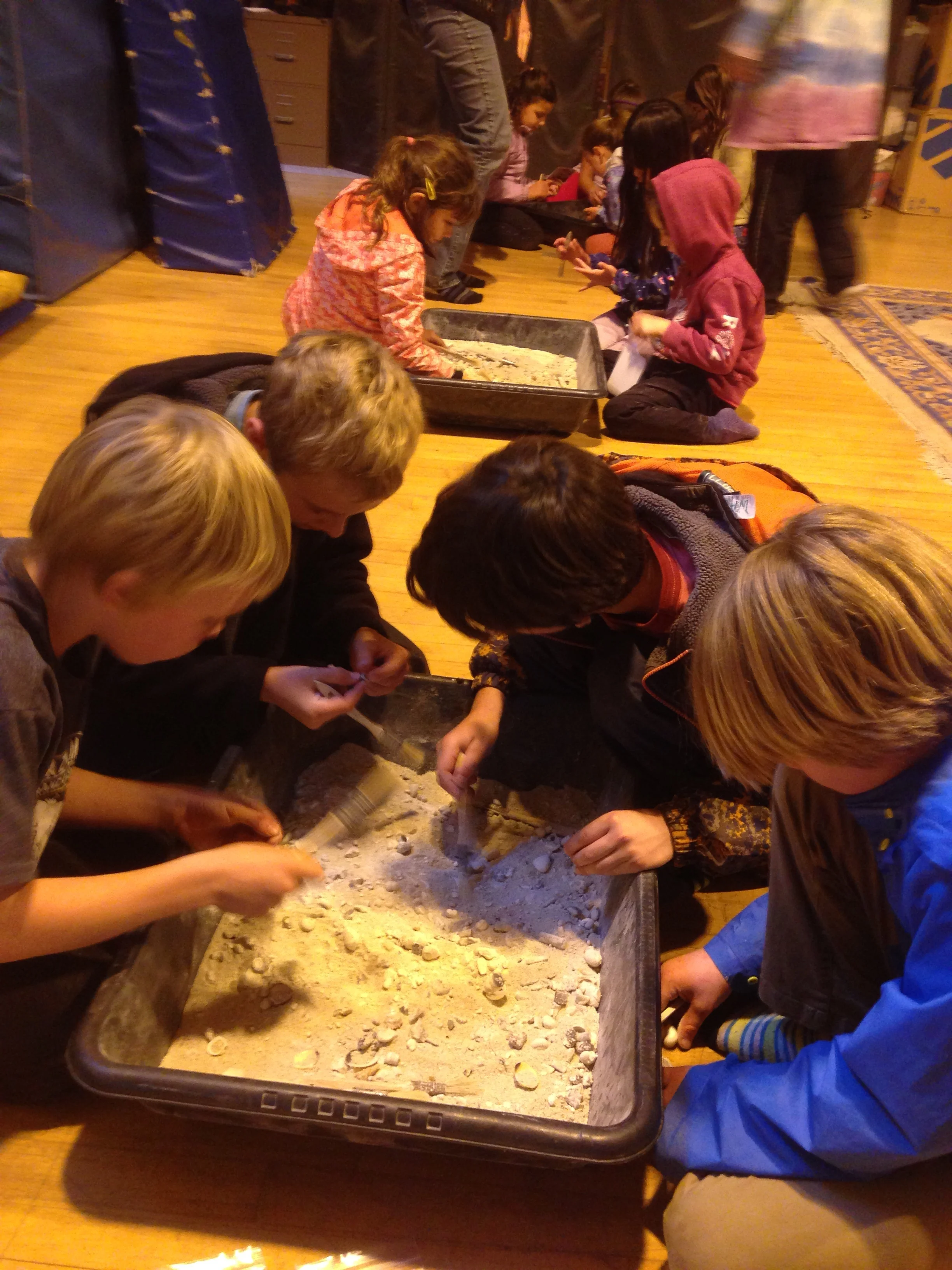 Digging for fossils.