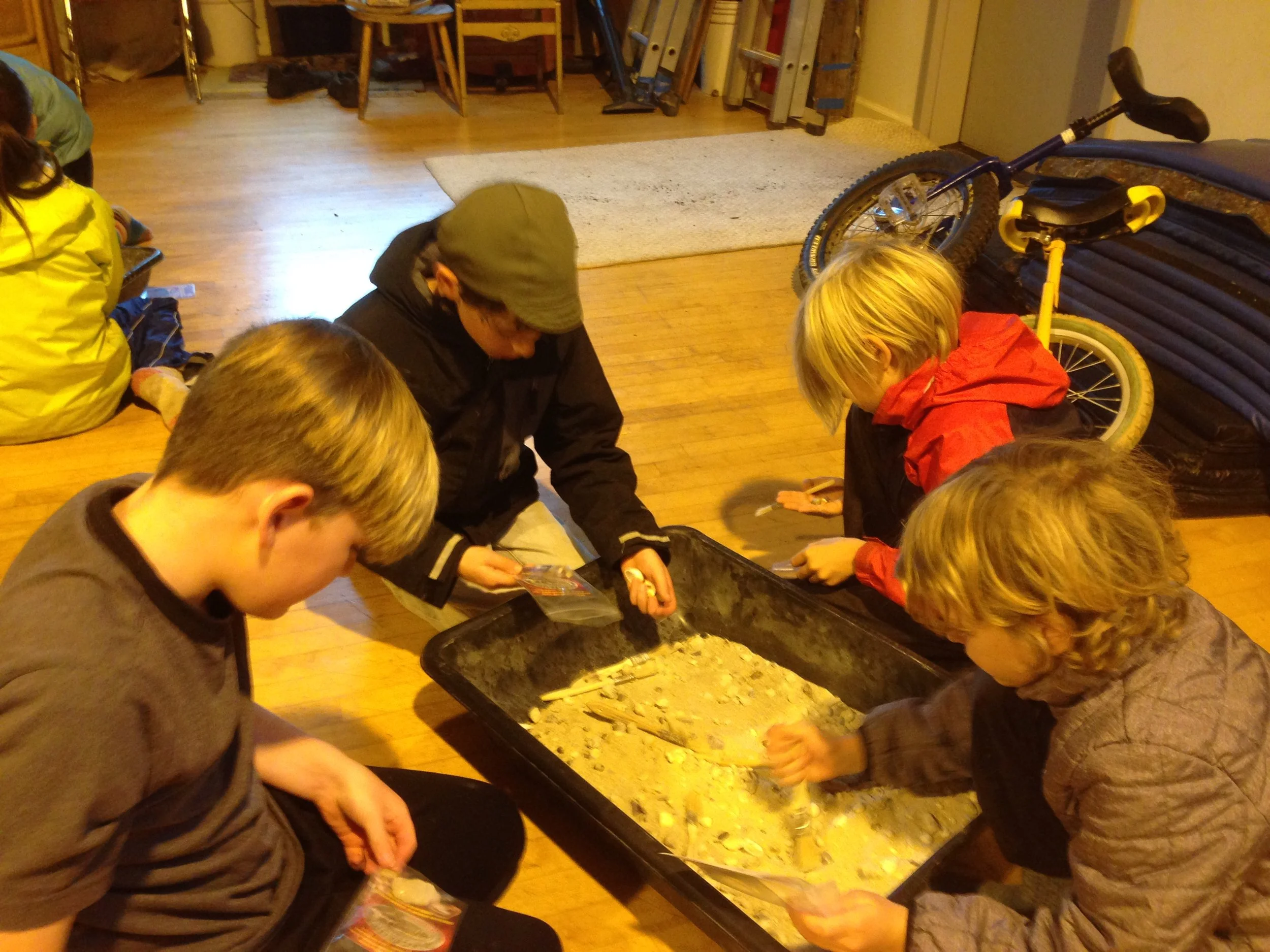 Digging for fossils.