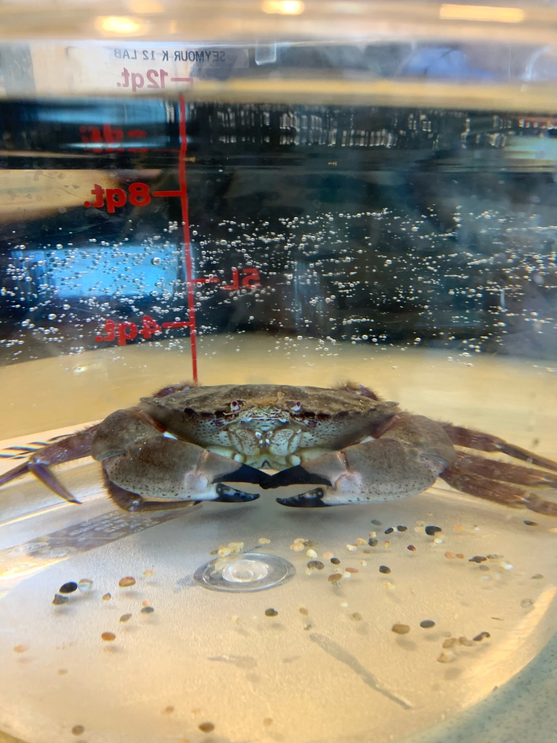 IMG_5343.jpeg