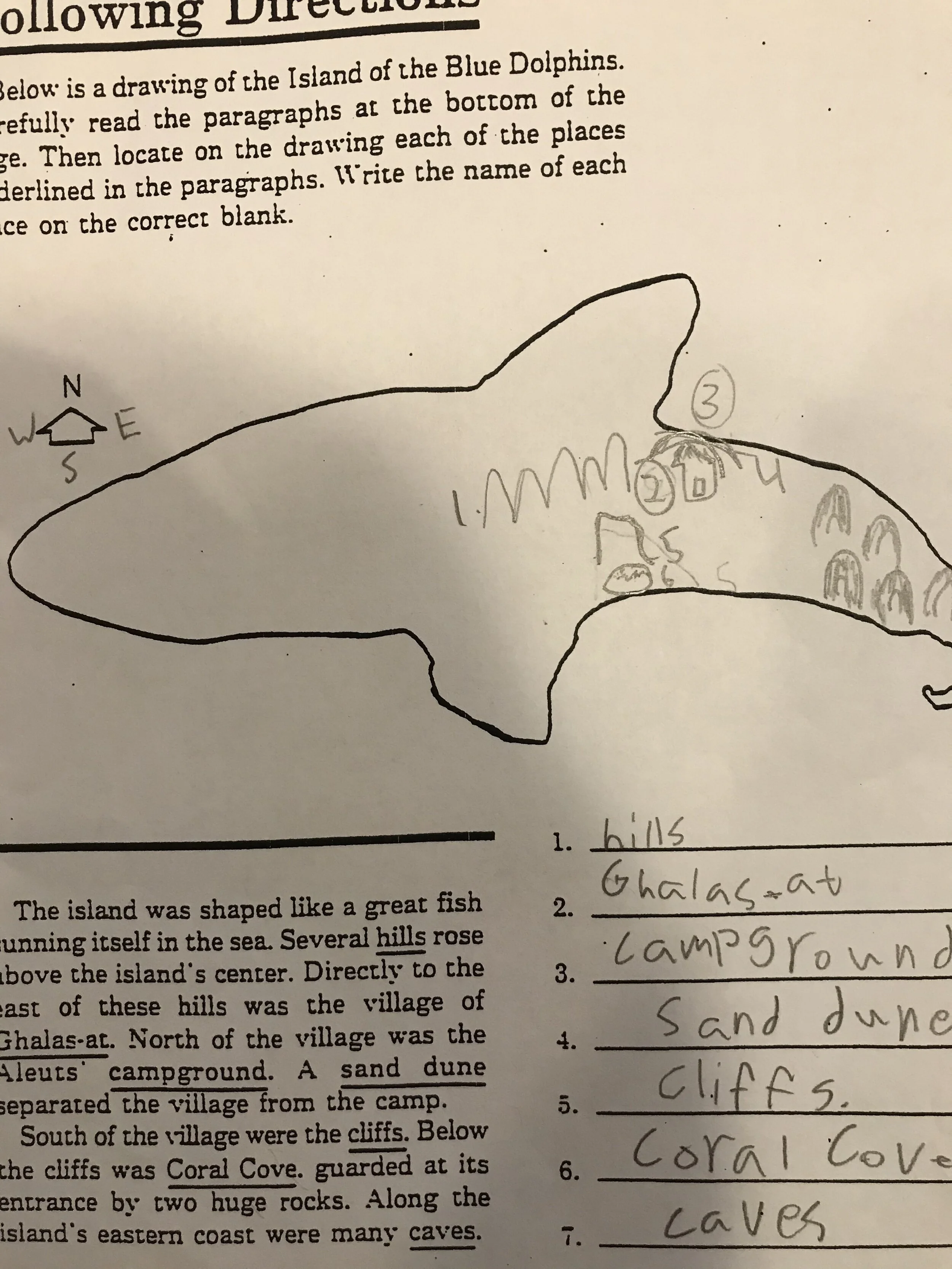 BDolphins.jpg