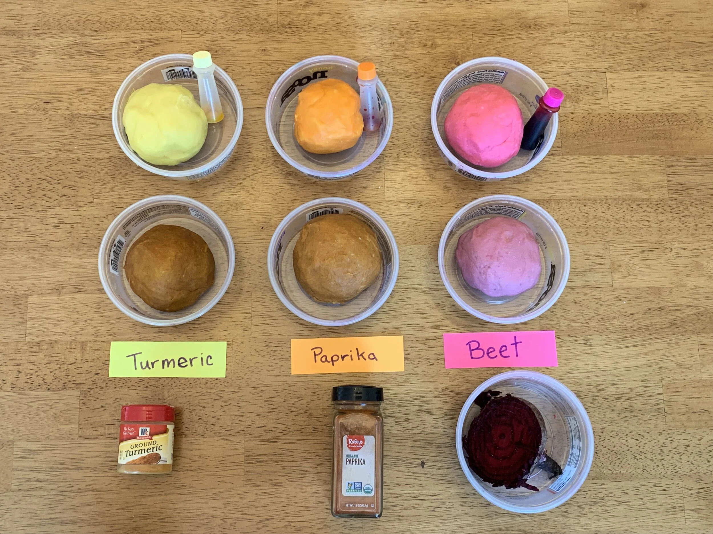 Natural Dye Lab.jpg