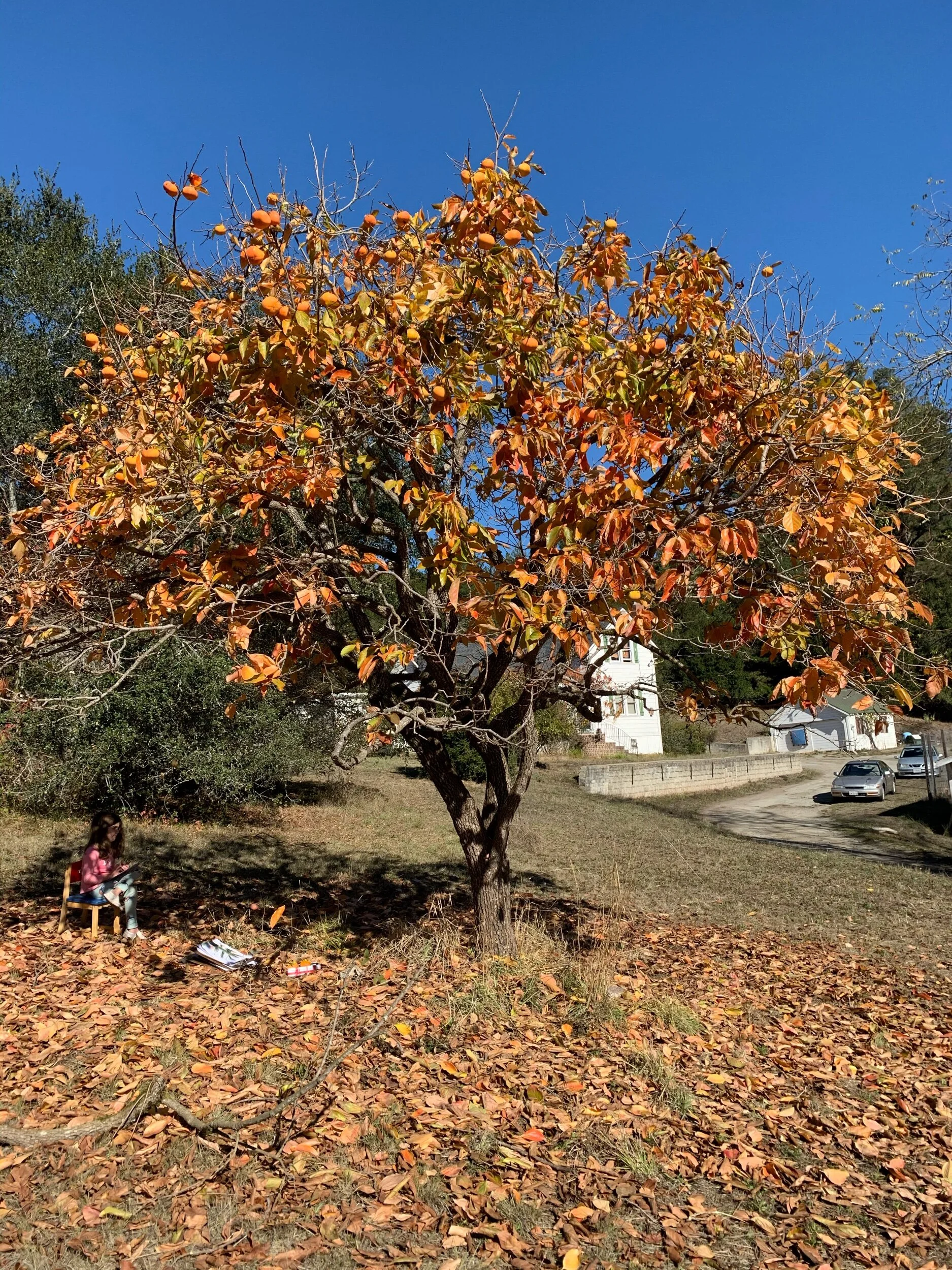 IMG_8196.jpeg
