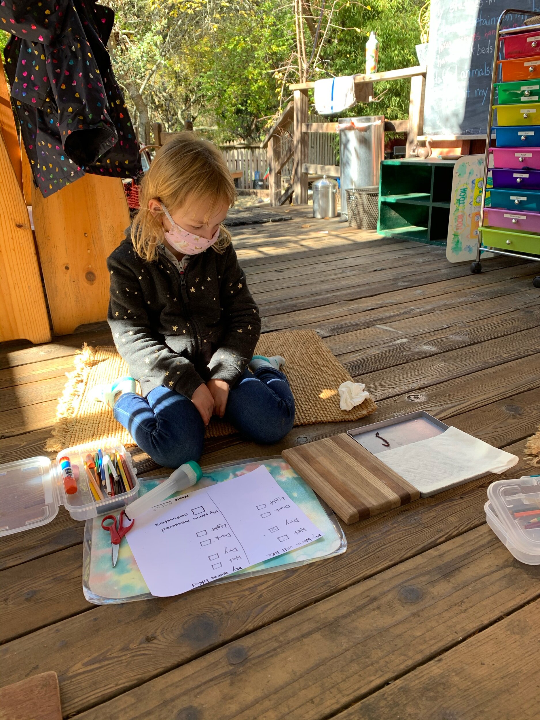 IMG_8075.jpeg