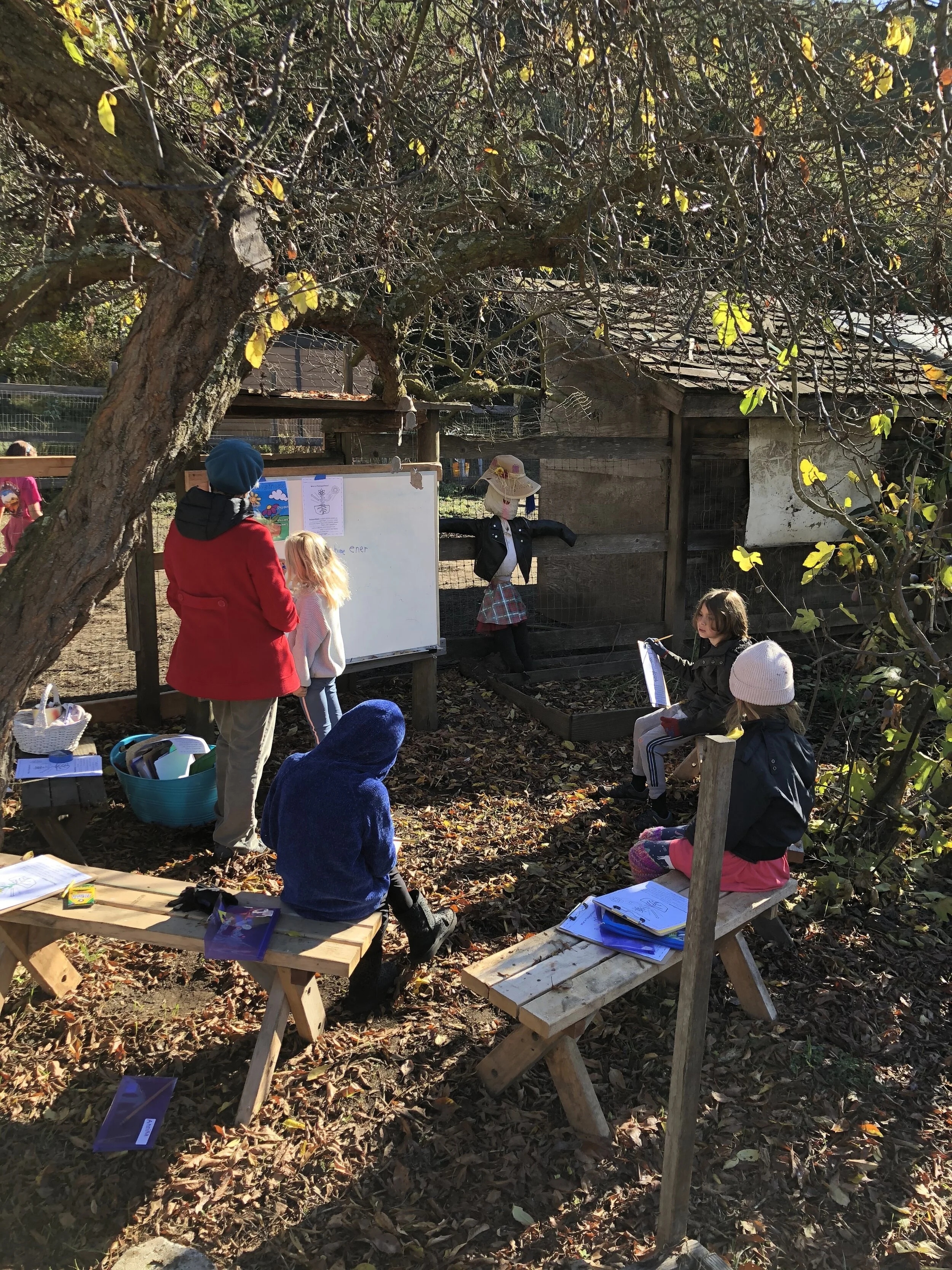 Garden Classroom