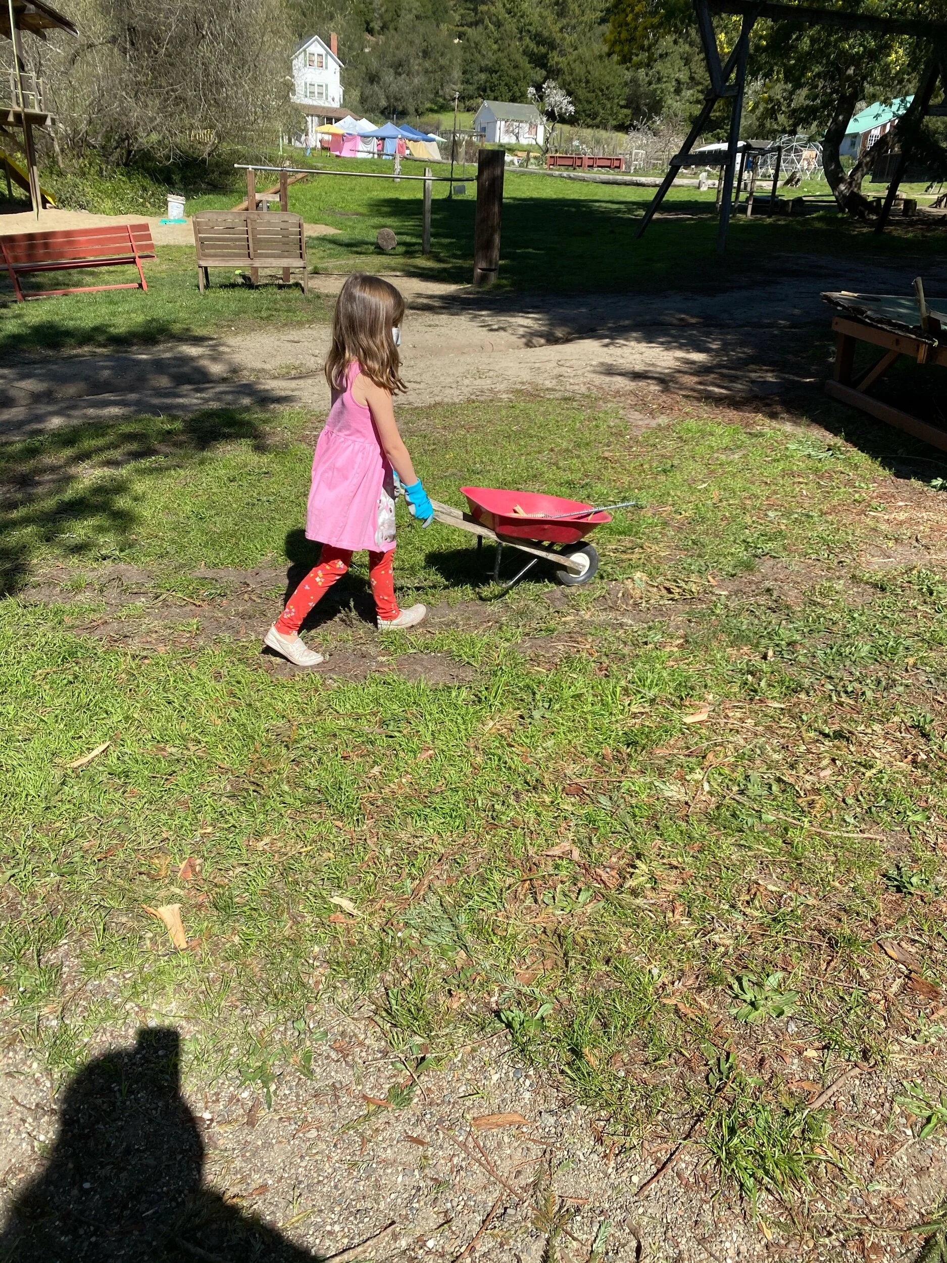 IMG_1064.jpeg
