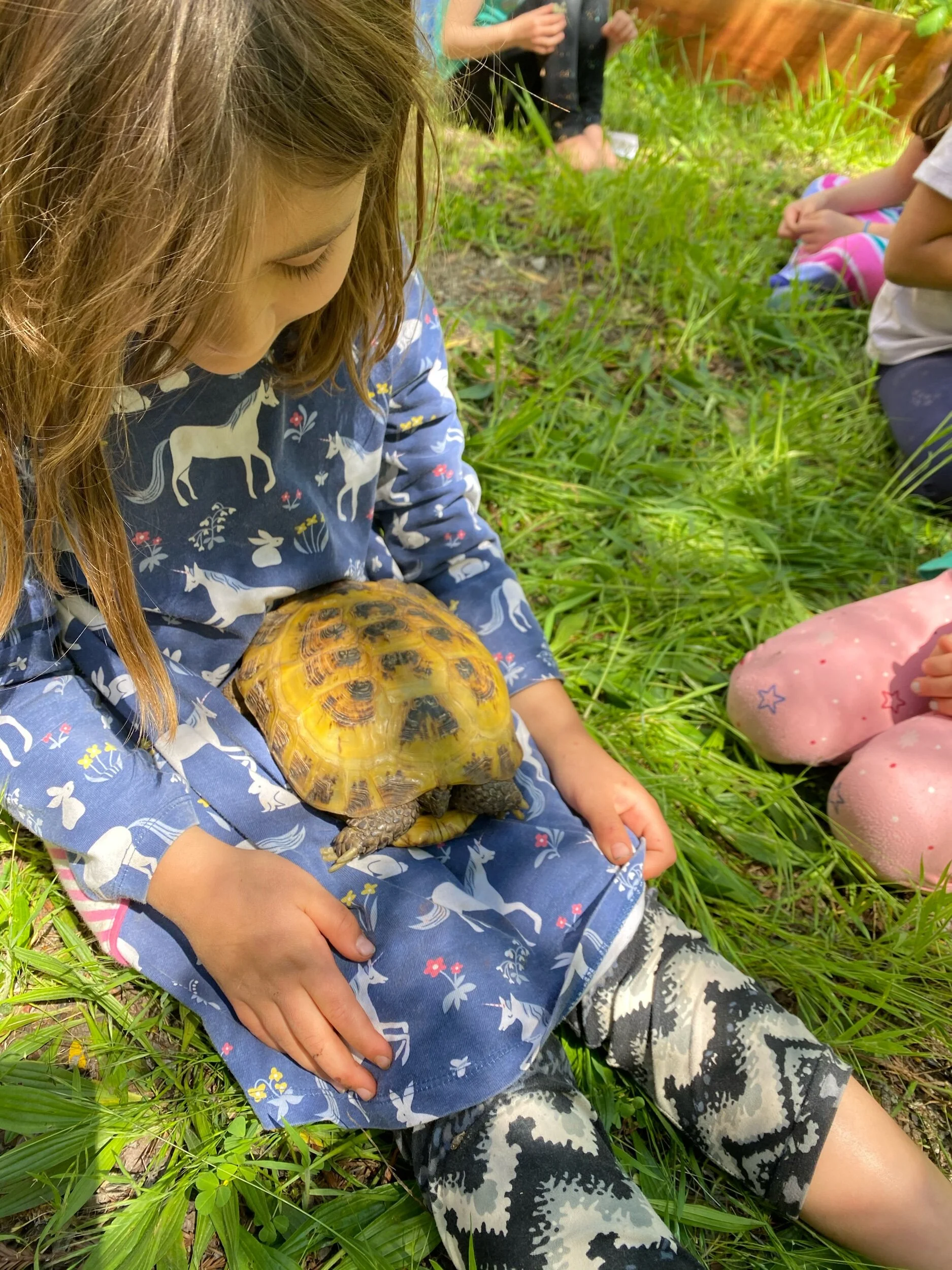 Sky’s tortoise Pearl came for a visit.