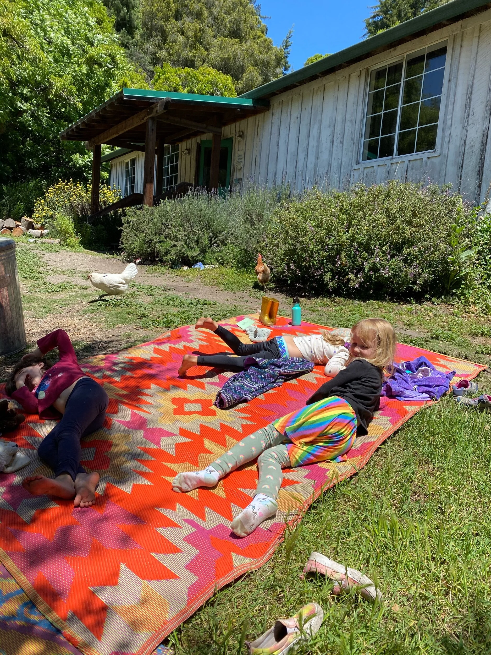 Rest time. We shifted to the chicken coop area for rest — both to get away from kinder rebuild construction noise, but also to give the chickens “recess time”. They can only be let out of their coop with supervision so as to not fall victim to bobcats or coyotes. They really love it when we let them out. The kids have become expert chicken herders when it’s time to get them back in. You should see the team work required. Again, they are an expert group. They also like rest time with the chickens because I allow them to choose their spots rather than have them in assigned rest places. And the rooster keeps us entertained with his crows, punctuating story time with his racket.