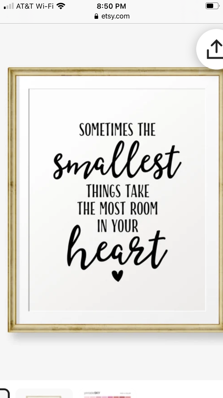 IMG_6889.PNG