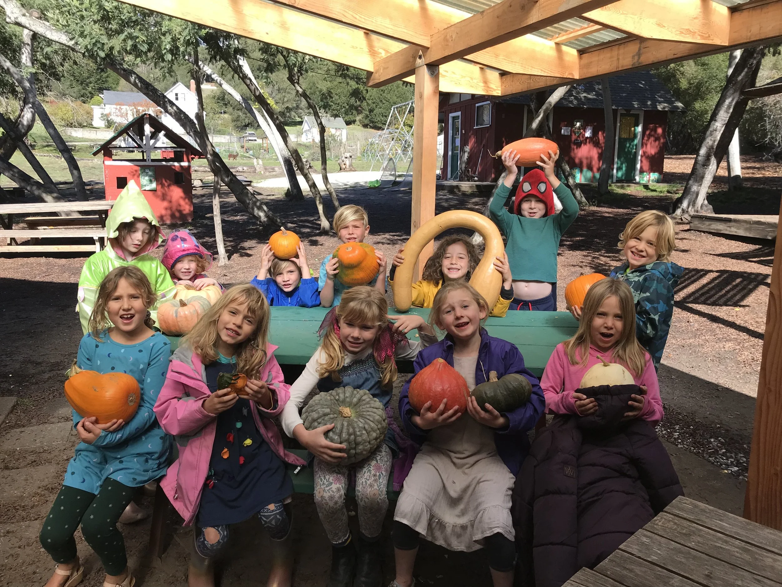 IMG_9926.jpg