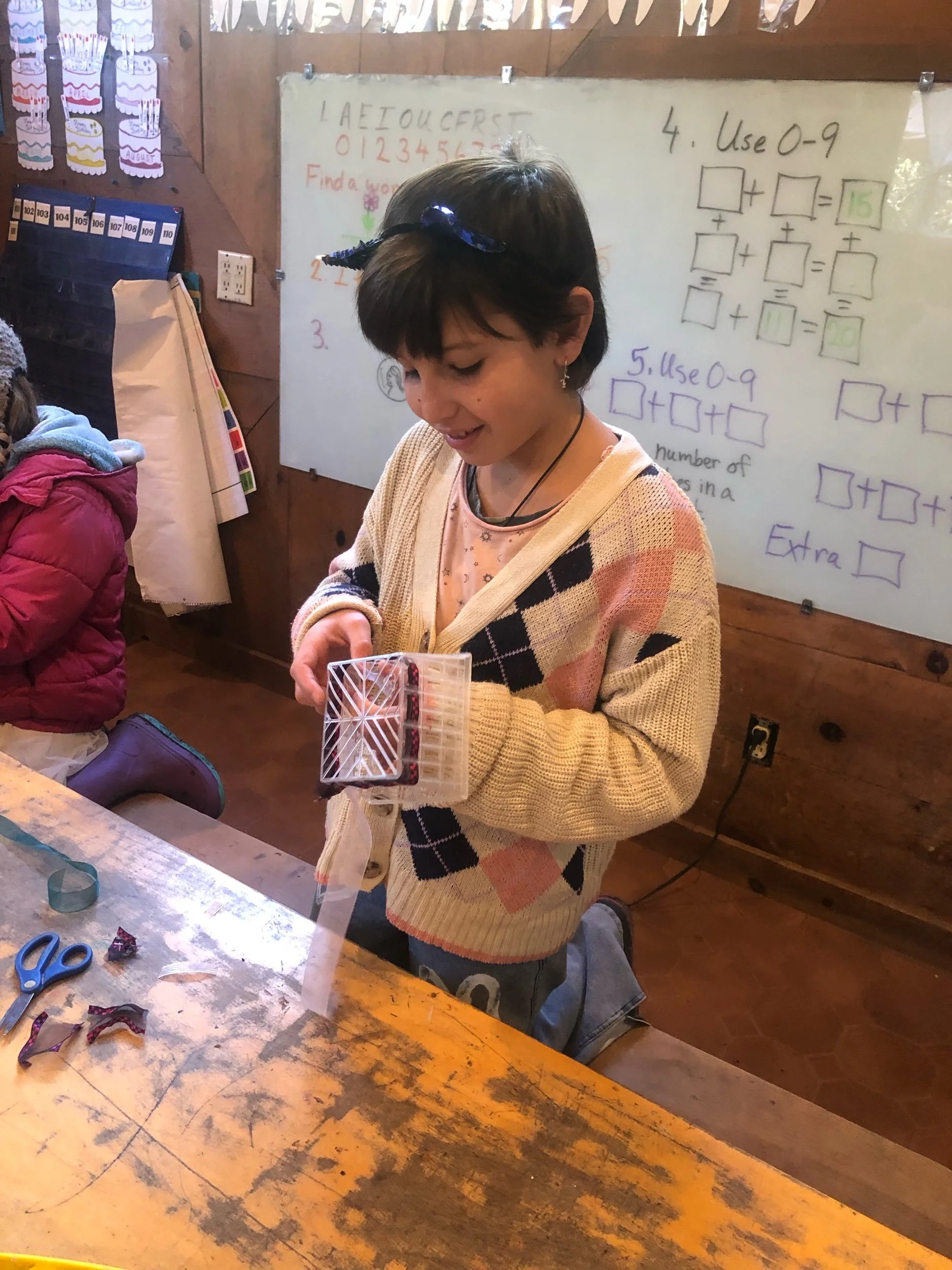 IMG_8099.jpeg