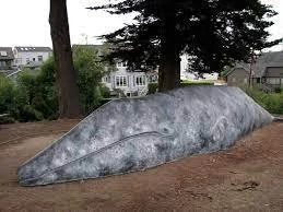 Santa Cruz Museum of Natural History~Our Animal Neighbors (Kindergarten)