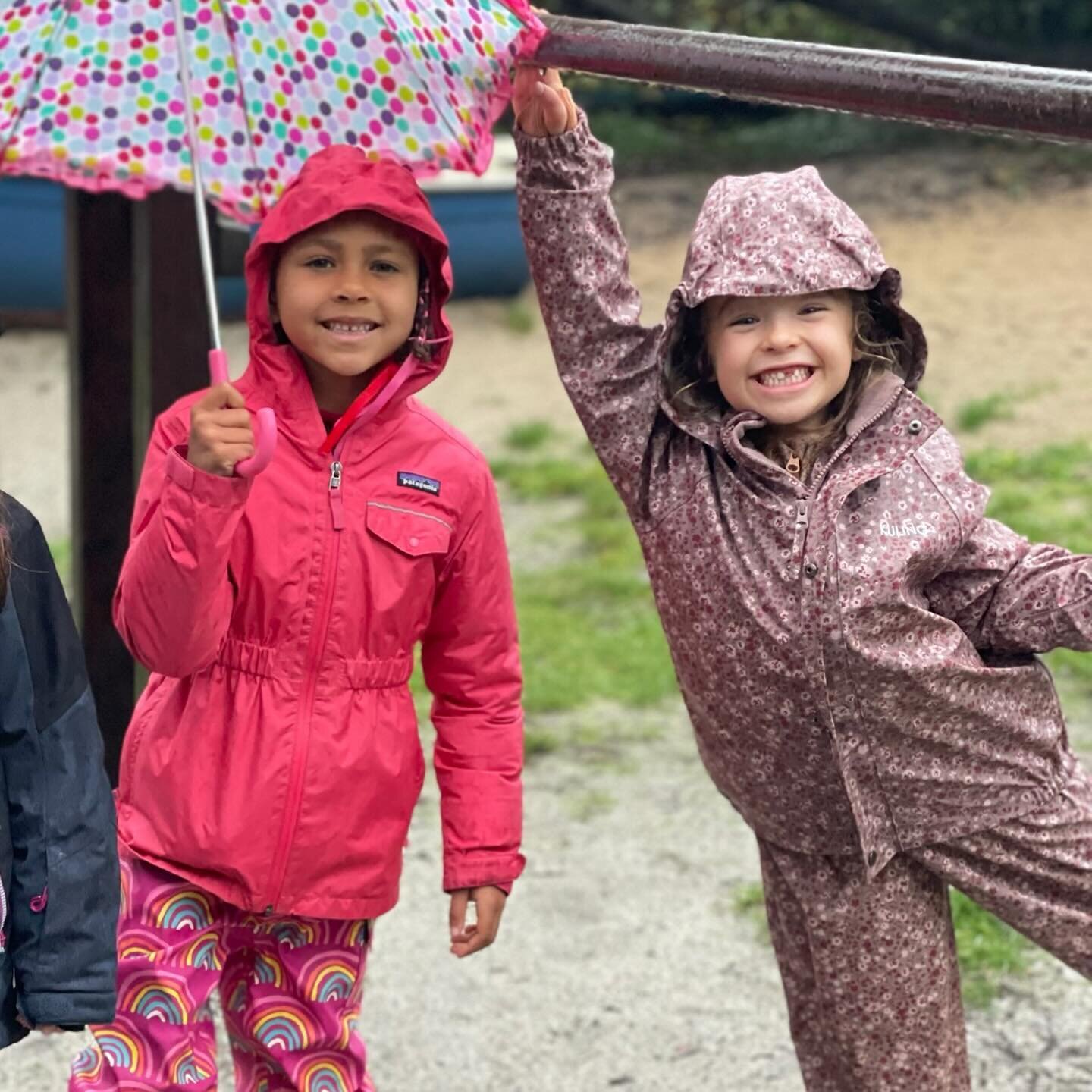 Scenes from this wet, wet week. We had fun despite the downpours. Butter the cat walked all the way to the redwood grove with the second graders. In kindergarten the topic was appropriately the watercycle and rainbows. We lost power but had school an