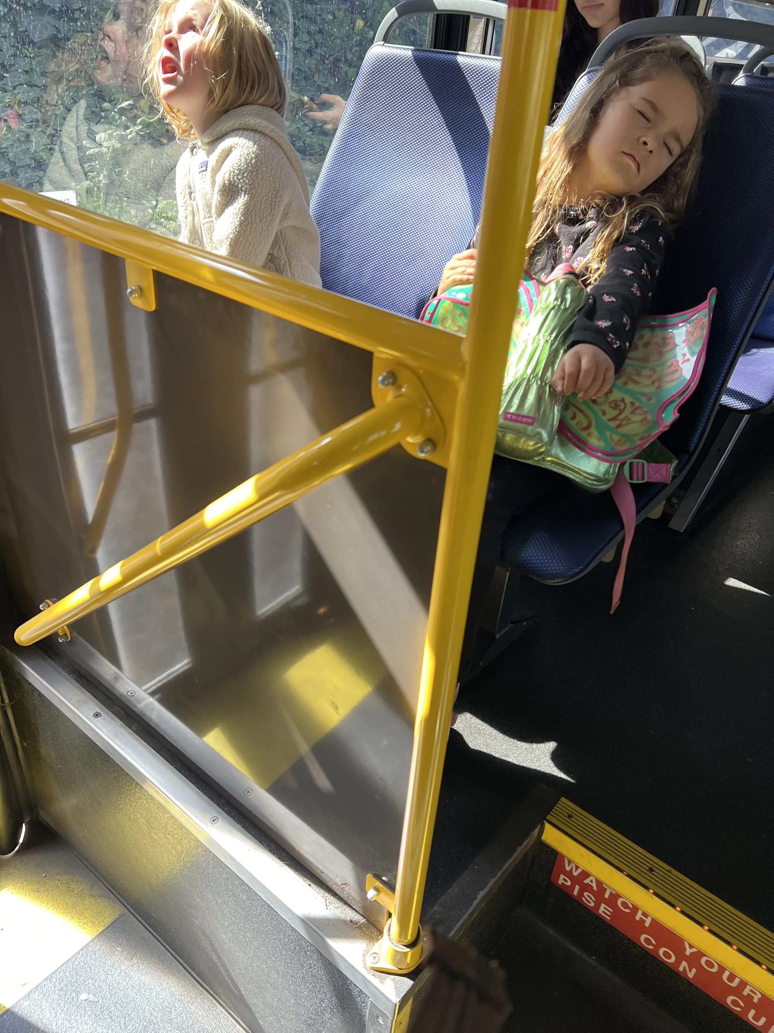 IMG_4966.jpeg