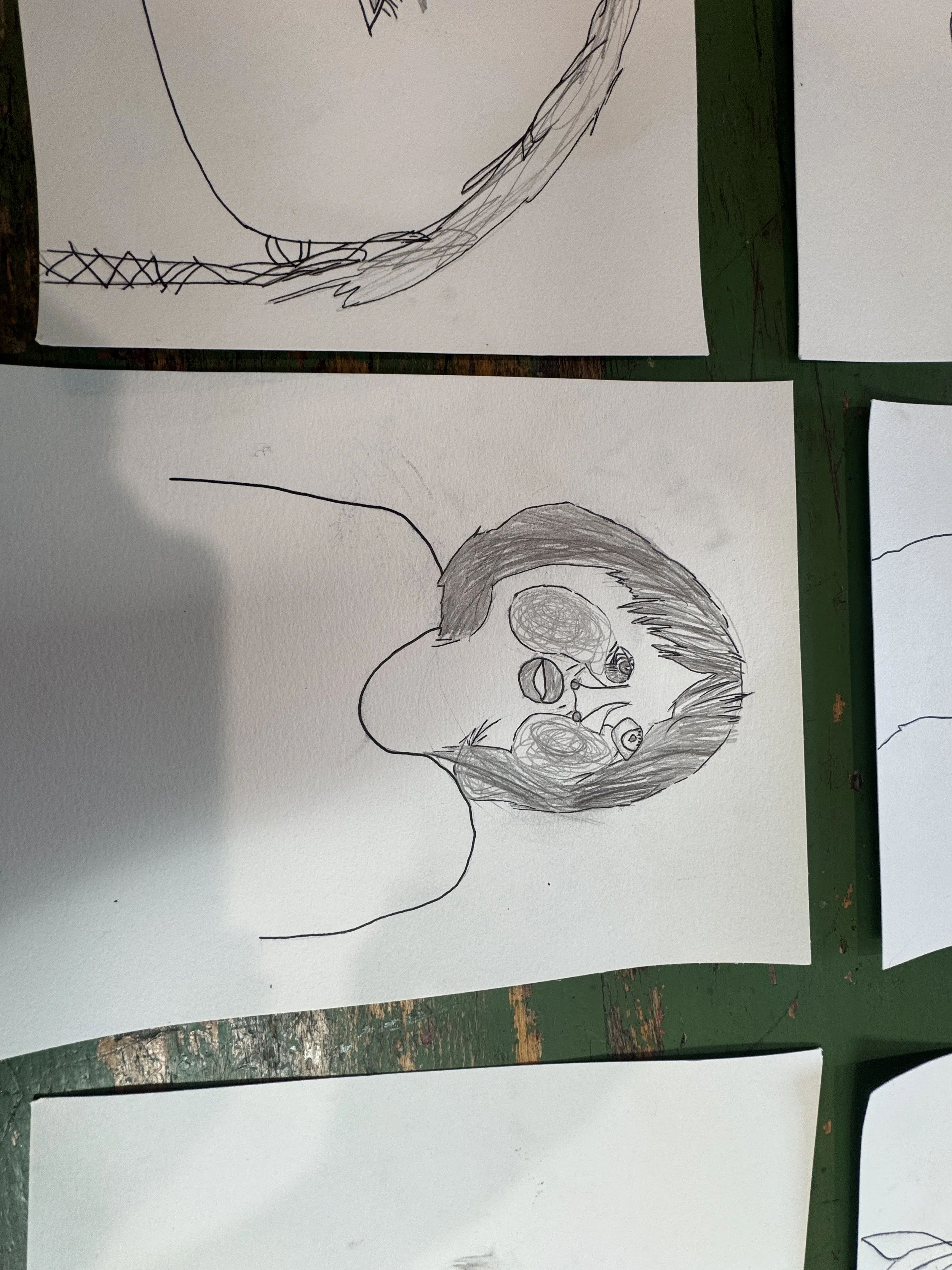 IMG_9770.jpeg