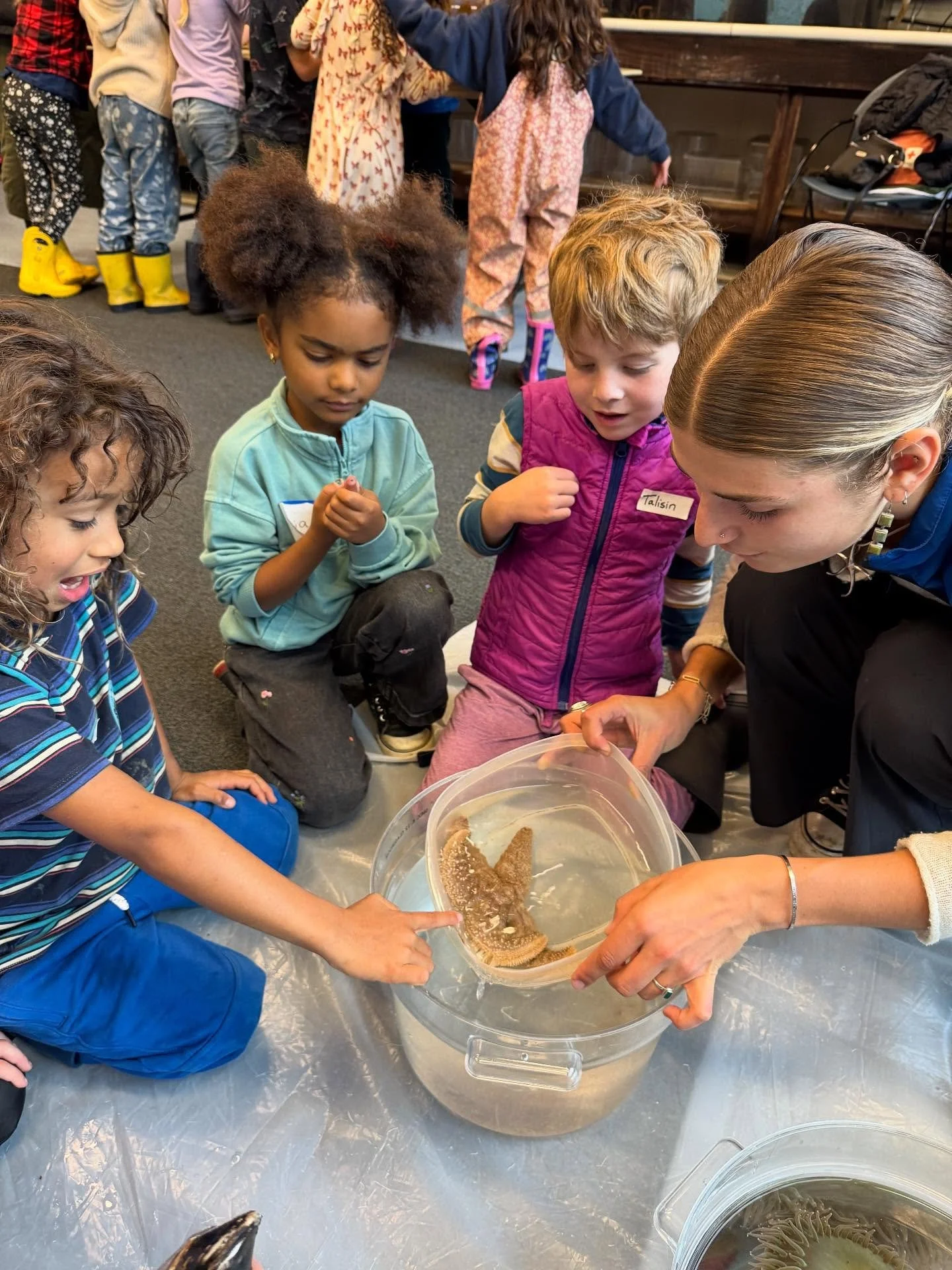 Kinders and Firsts visited the Seymour Center today. It was great as always. #orchardschoolaptos #handsonlearning #seymourcenter