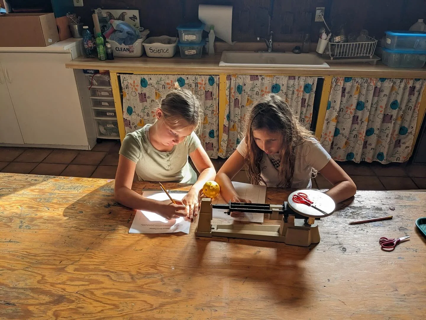 Science Class #orchardschoolaptos #handsonlearning