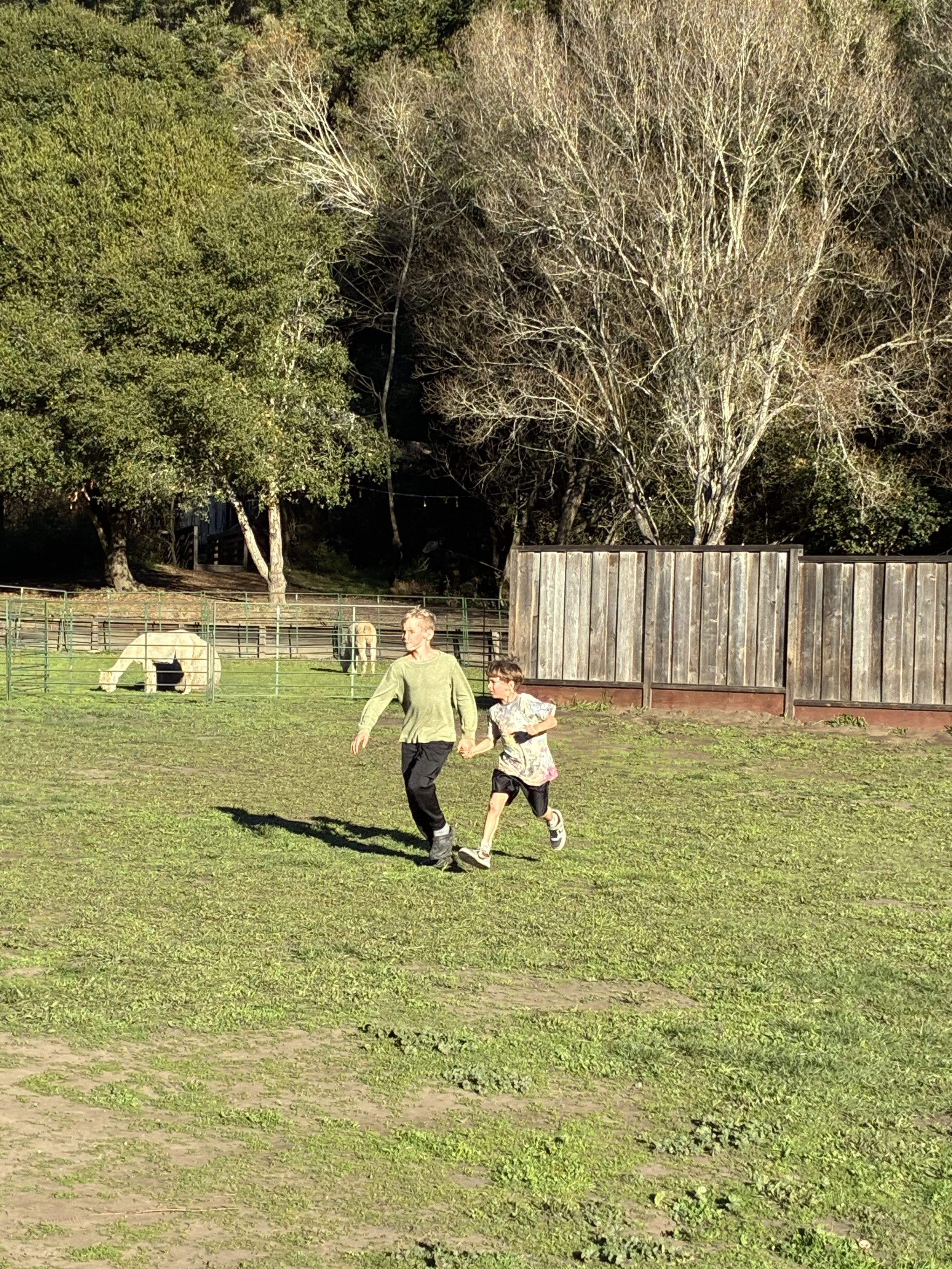 IMG_4529.jpeg
