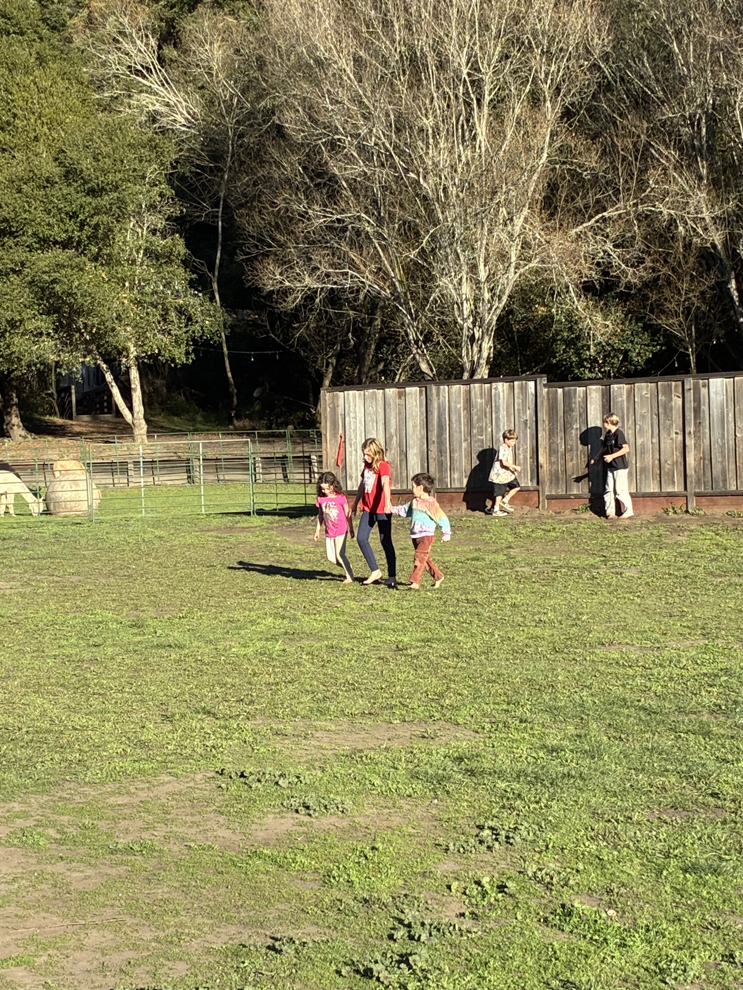 IMG_4535.jpeg