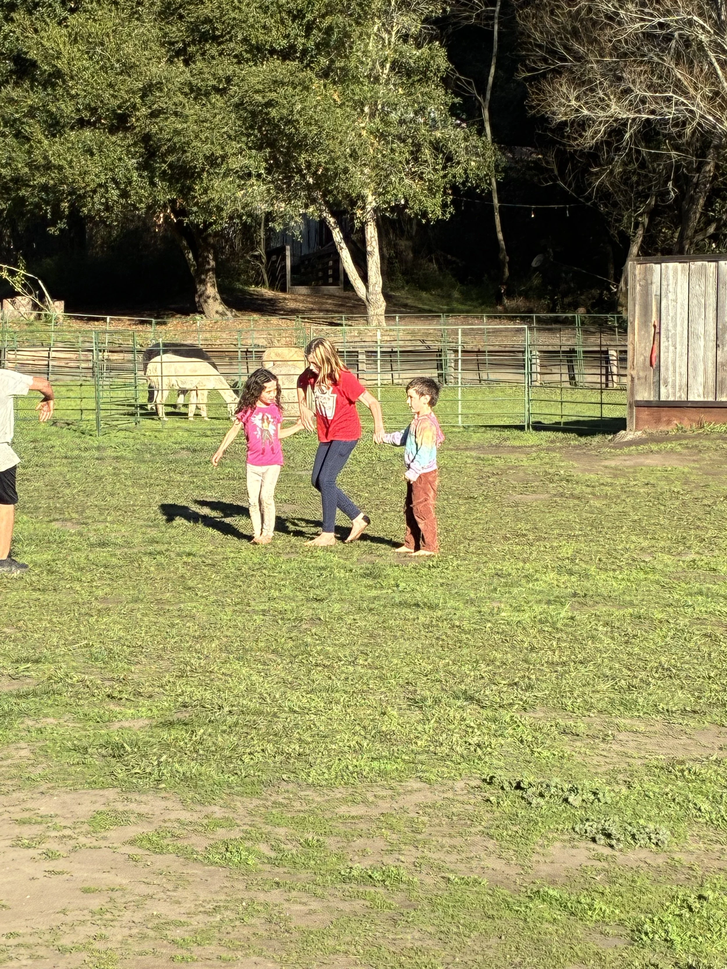 IMG_4536.jpeg