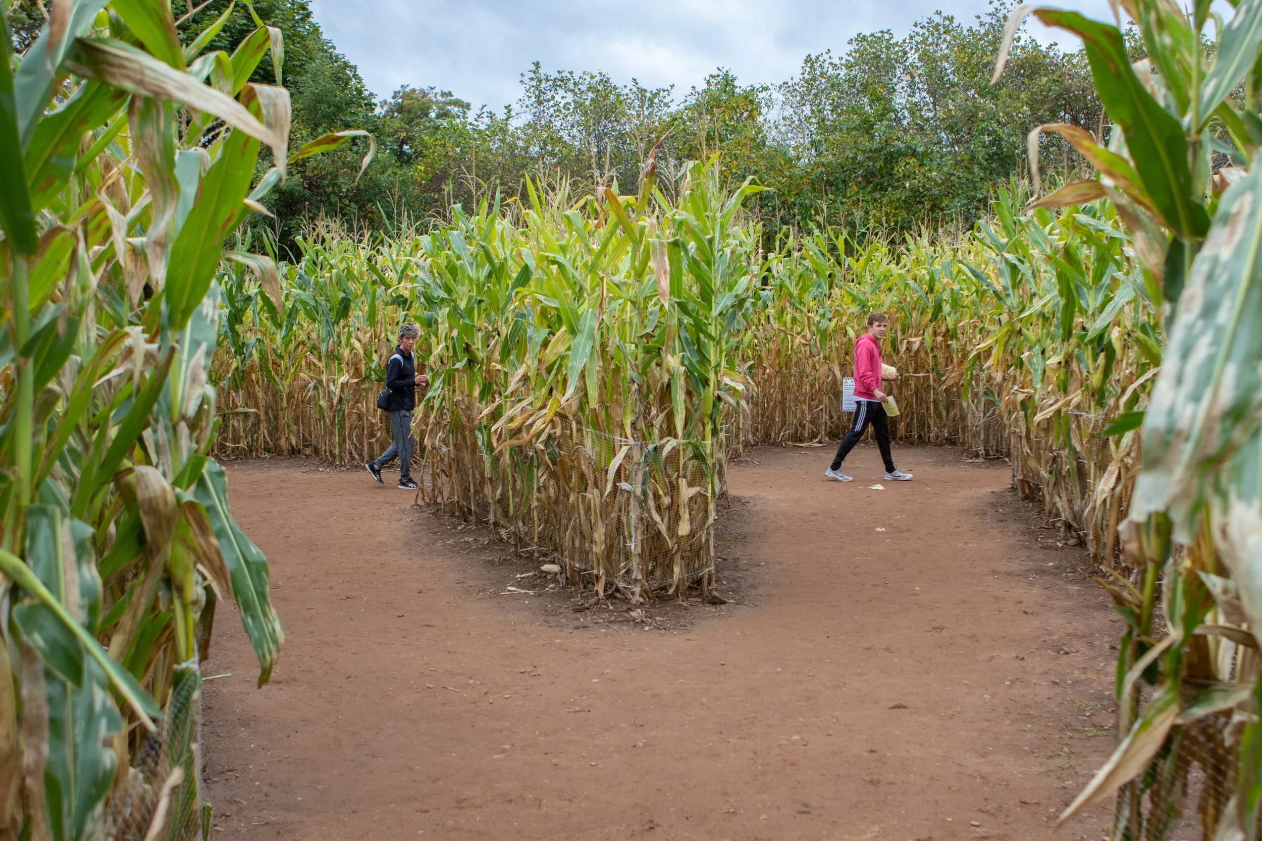2nd grade Field Trip to Rodoni Farm