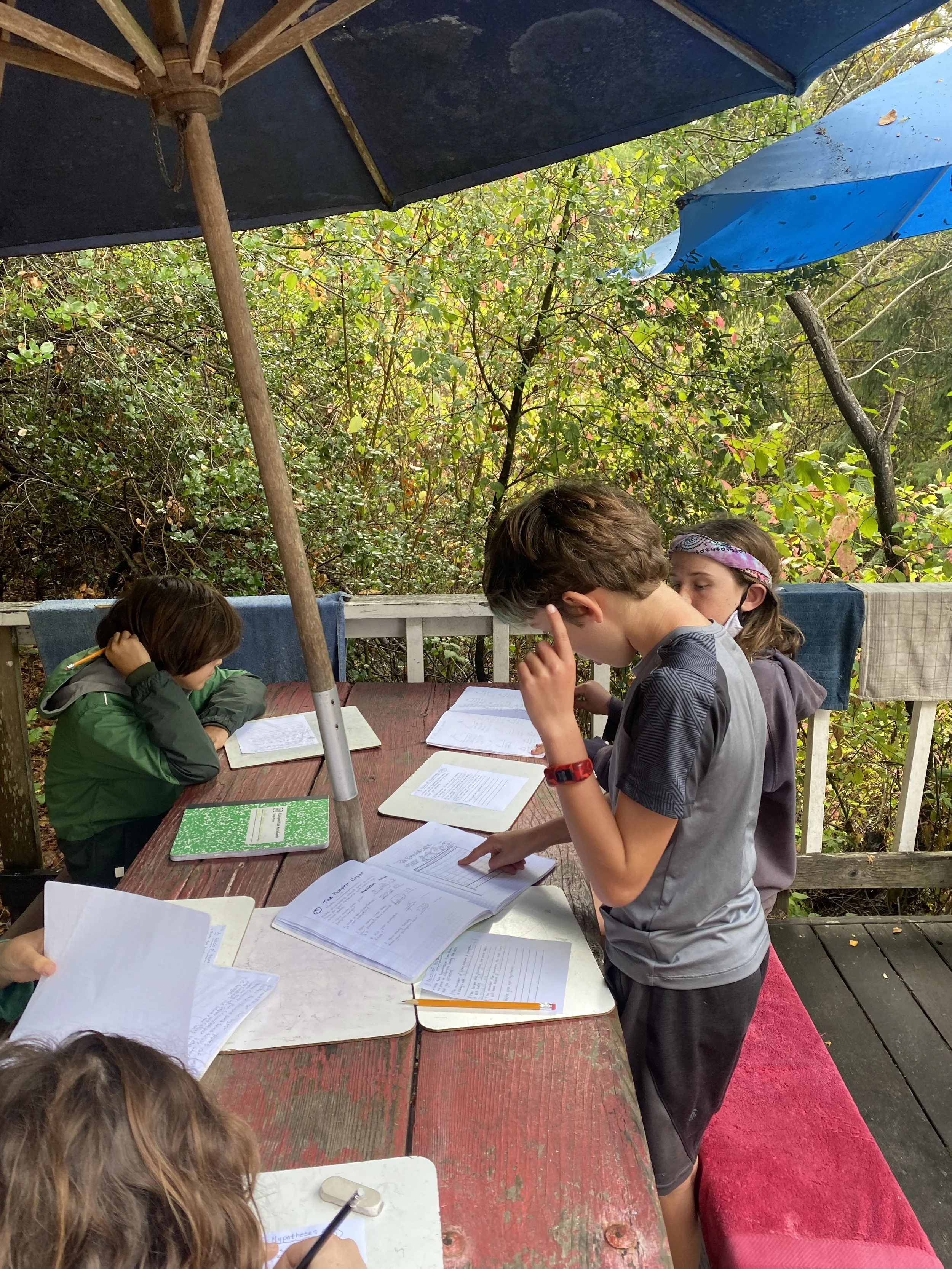 Recording the Pumpkin Caper in Math Activity Books