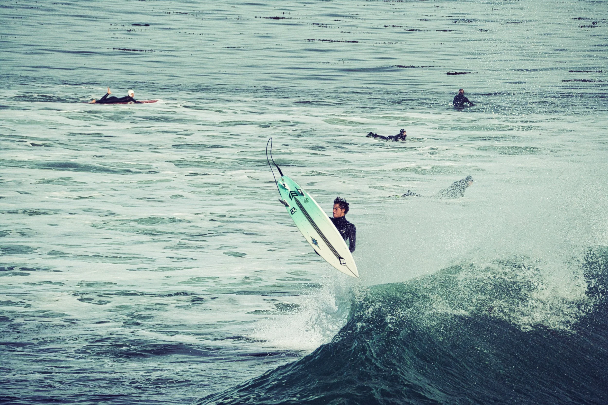 Epic Surfer Arial.jpeg