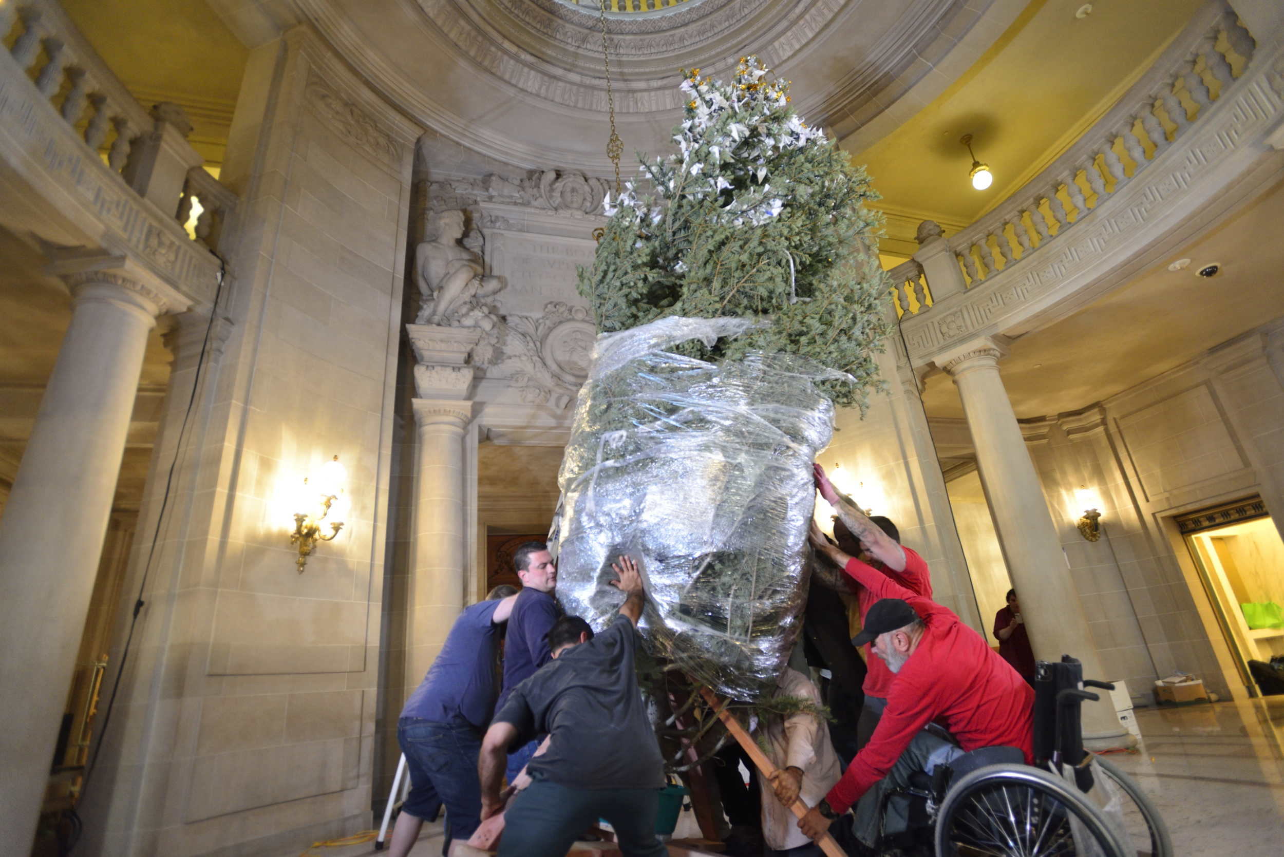 Volunteers raise the RWF World Tree of Hope in San Francisco City Hall.
