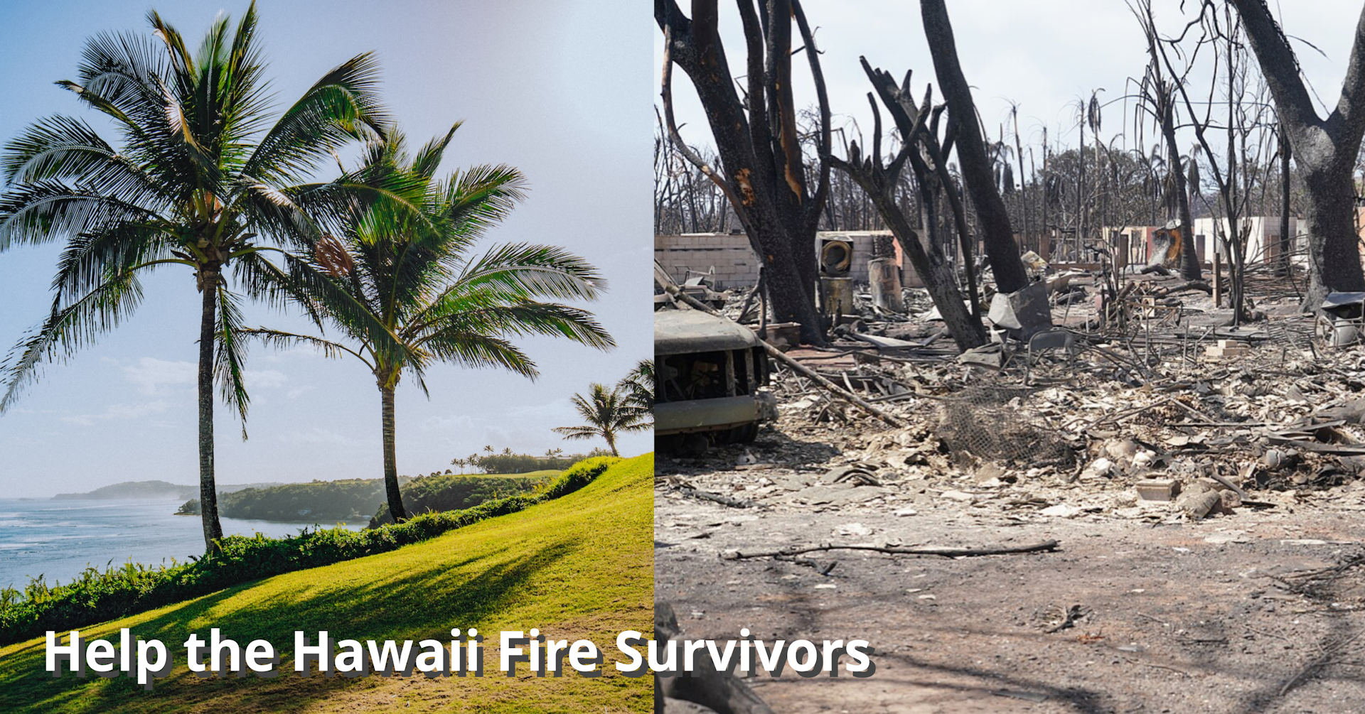 Hawaii Fire 2023.png