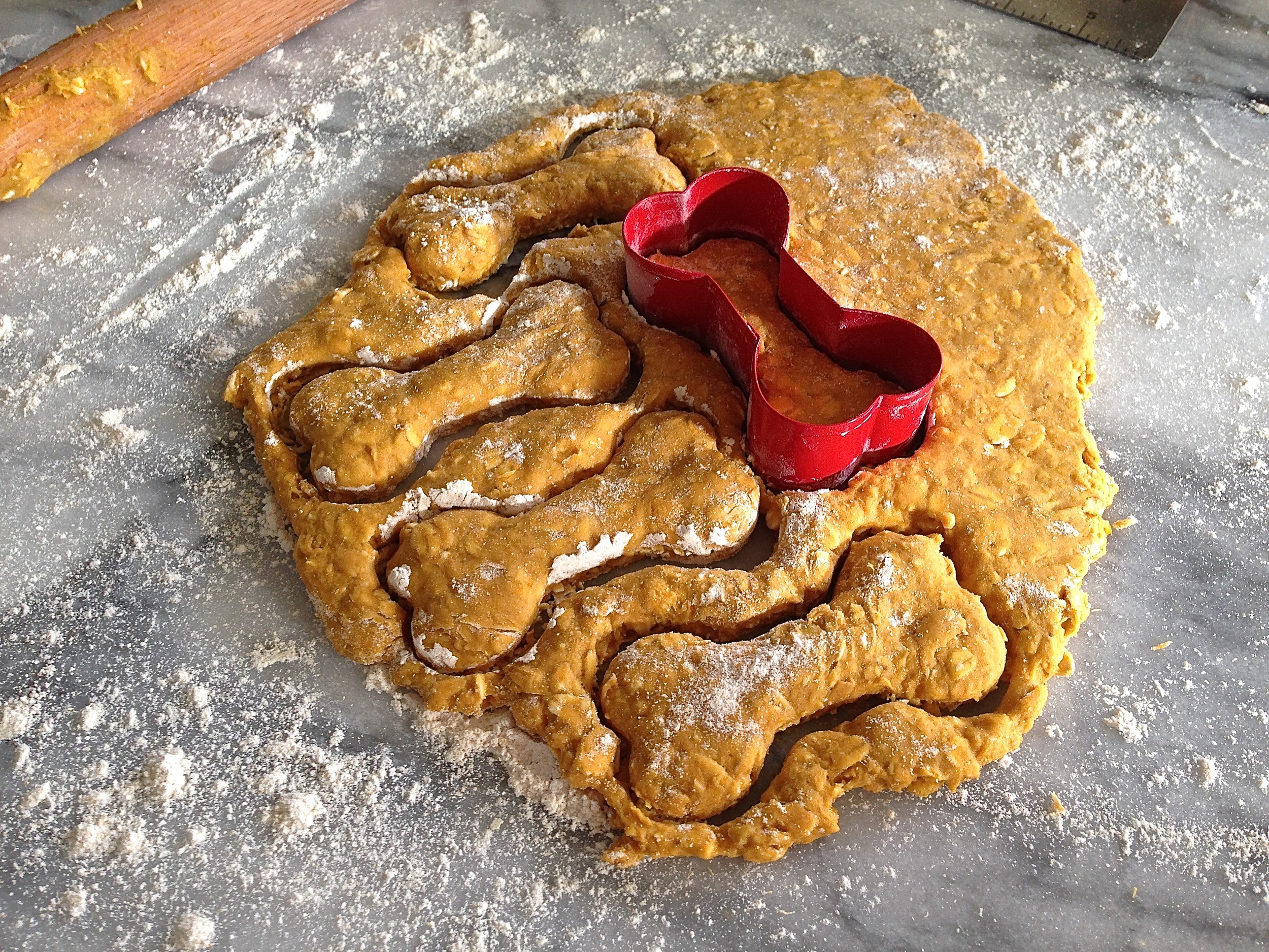 pumpkin oat dog treats