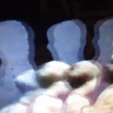 Animated GIF-downsized_large (2).gif