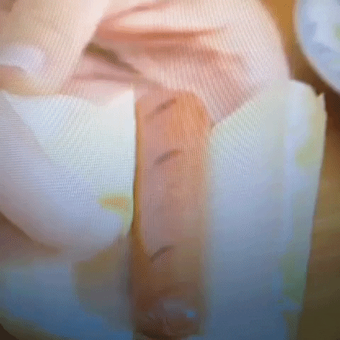 Animated GIF-downsized_large (4).gif